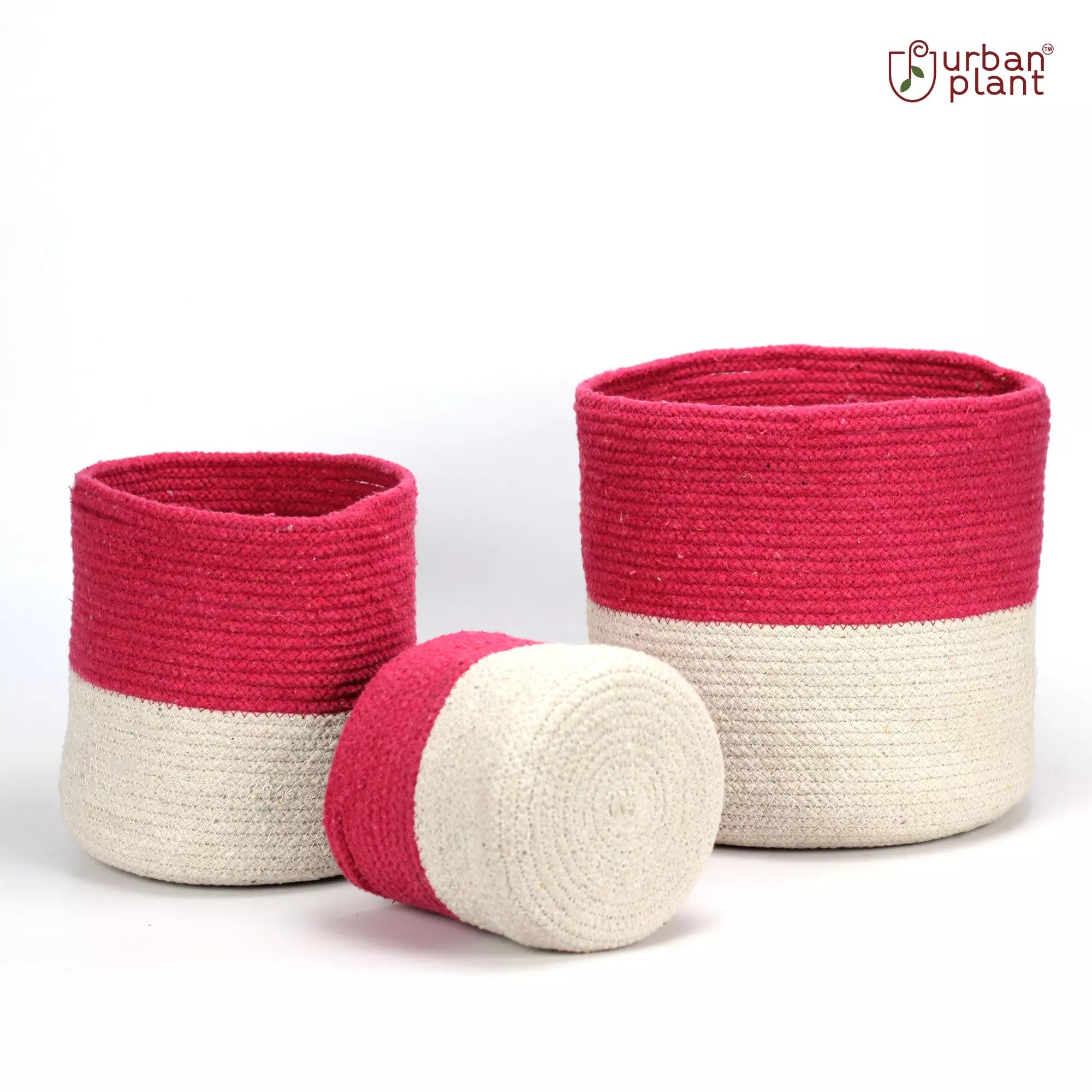 Twin Pink Cotton Planter, Dual-color cotton planter - Pack of 3 Cotton Planter Urban Plant 