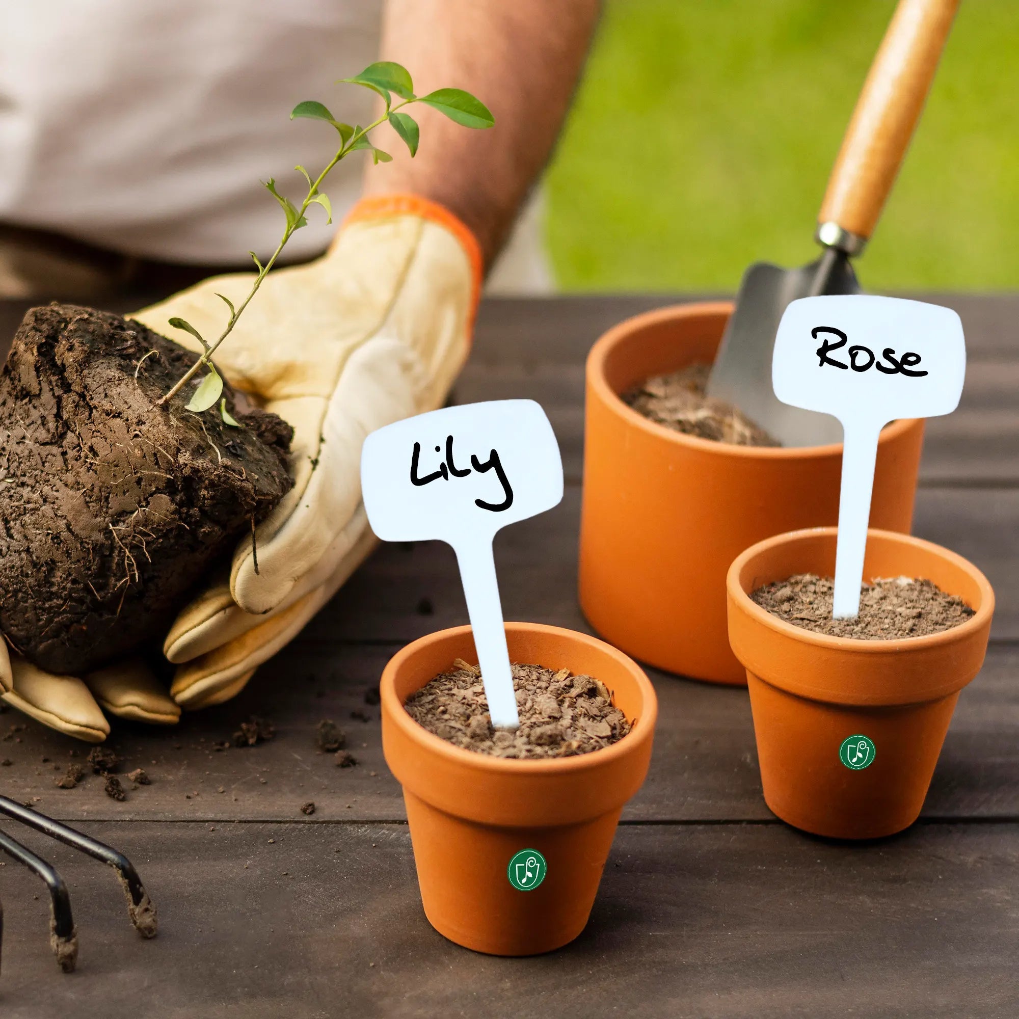 Urban Plant pot marker  