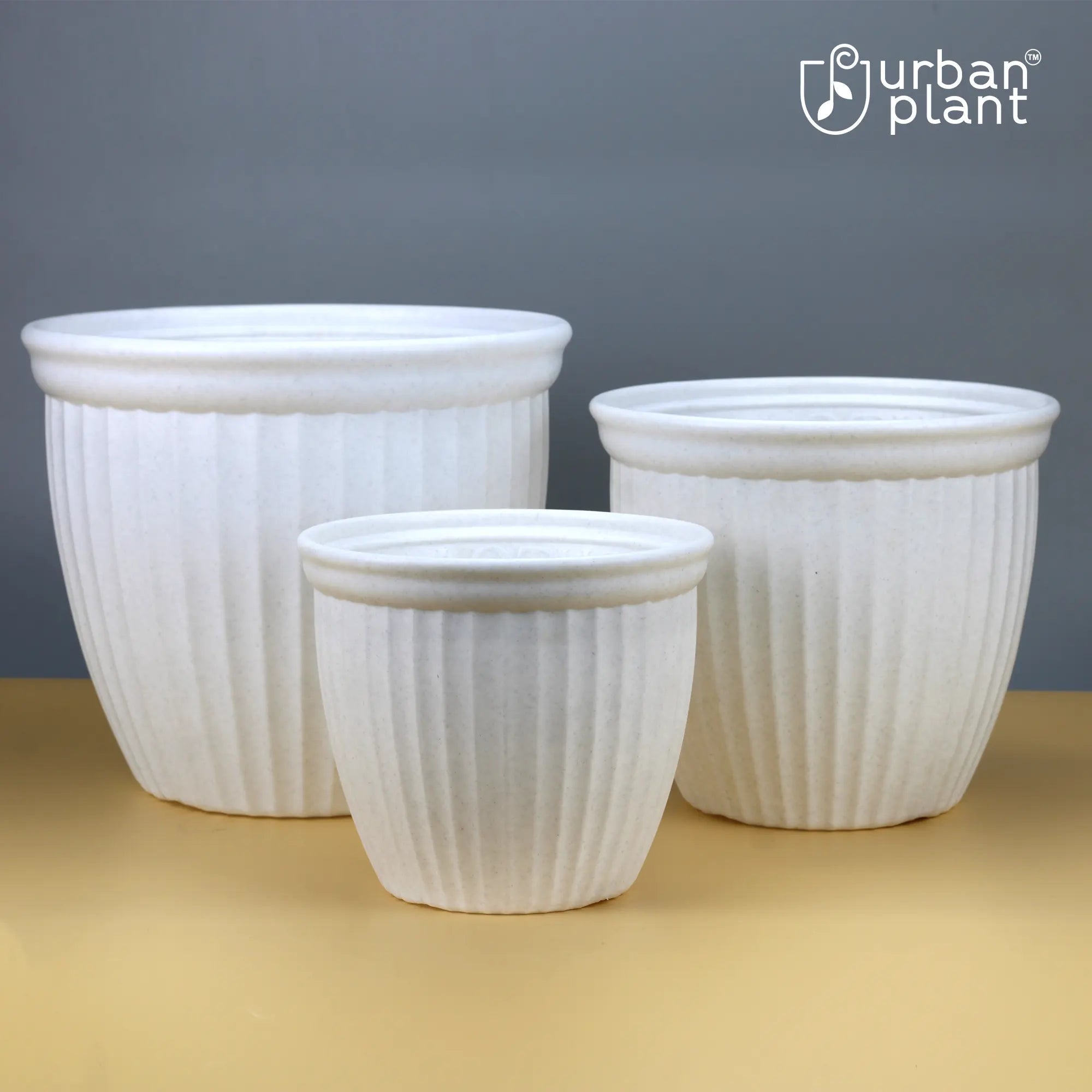 Urban Plant Lotus Planters (Set of 3) Urban Plant 
