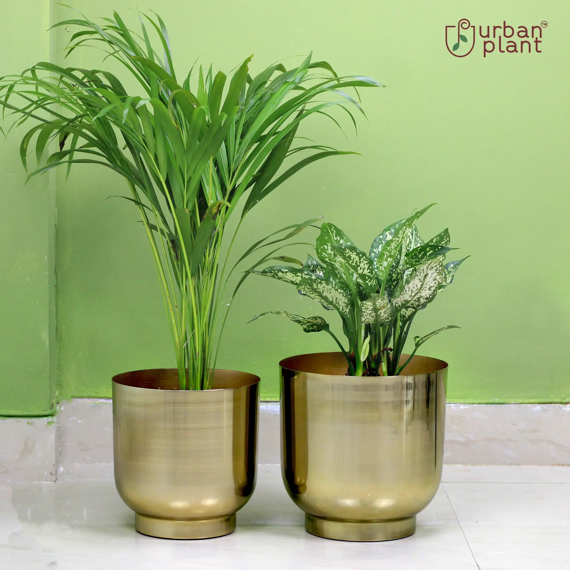 Orchid Metal Planter Pot Container (Set of 2) Table Top Planter Urban Plant Table Top Planter Urban Plant 