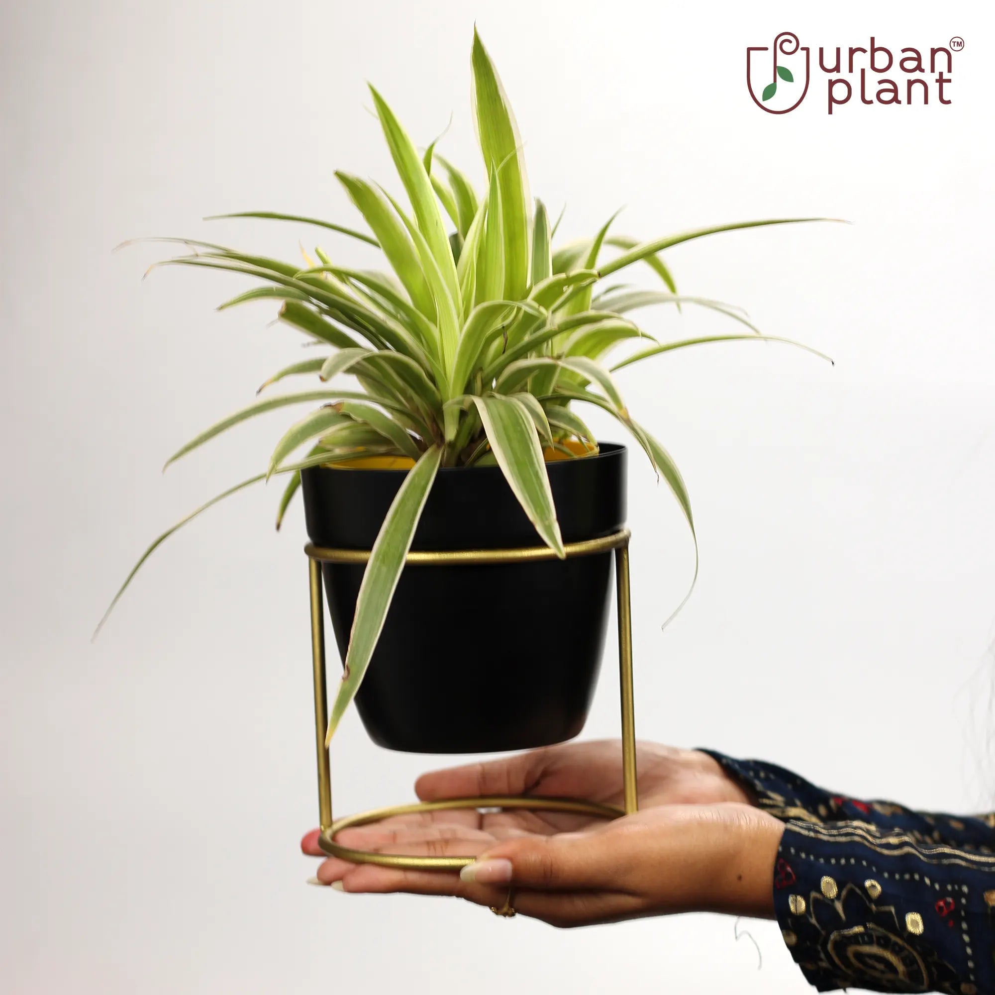 Classy Decorative Round Shape Black & White Metal Planter with Stand Metal Planter Urban Plant 