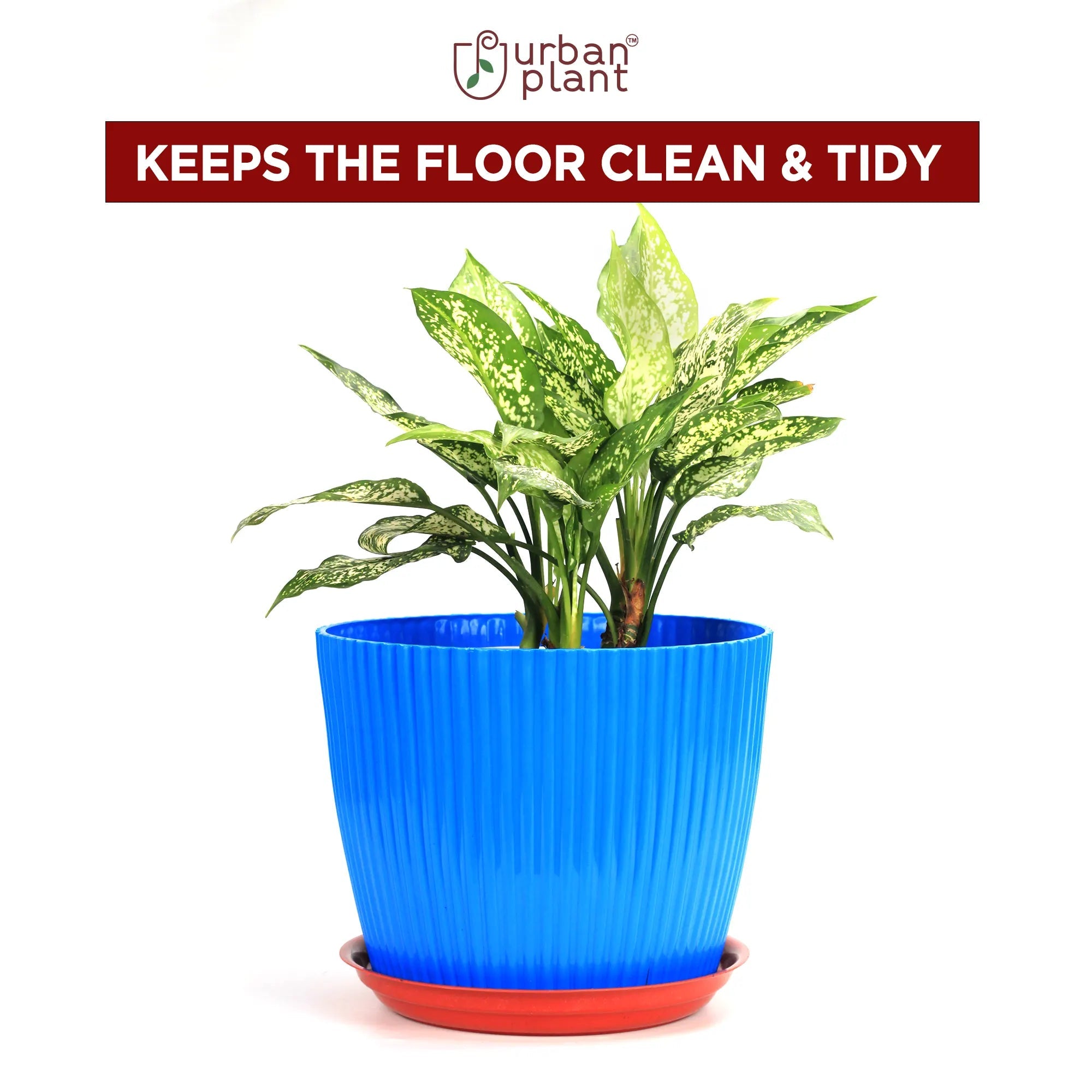 Urban Plant Round Bottom Tray (Plate/Saucer) for All Type of Pots Urban Plant 