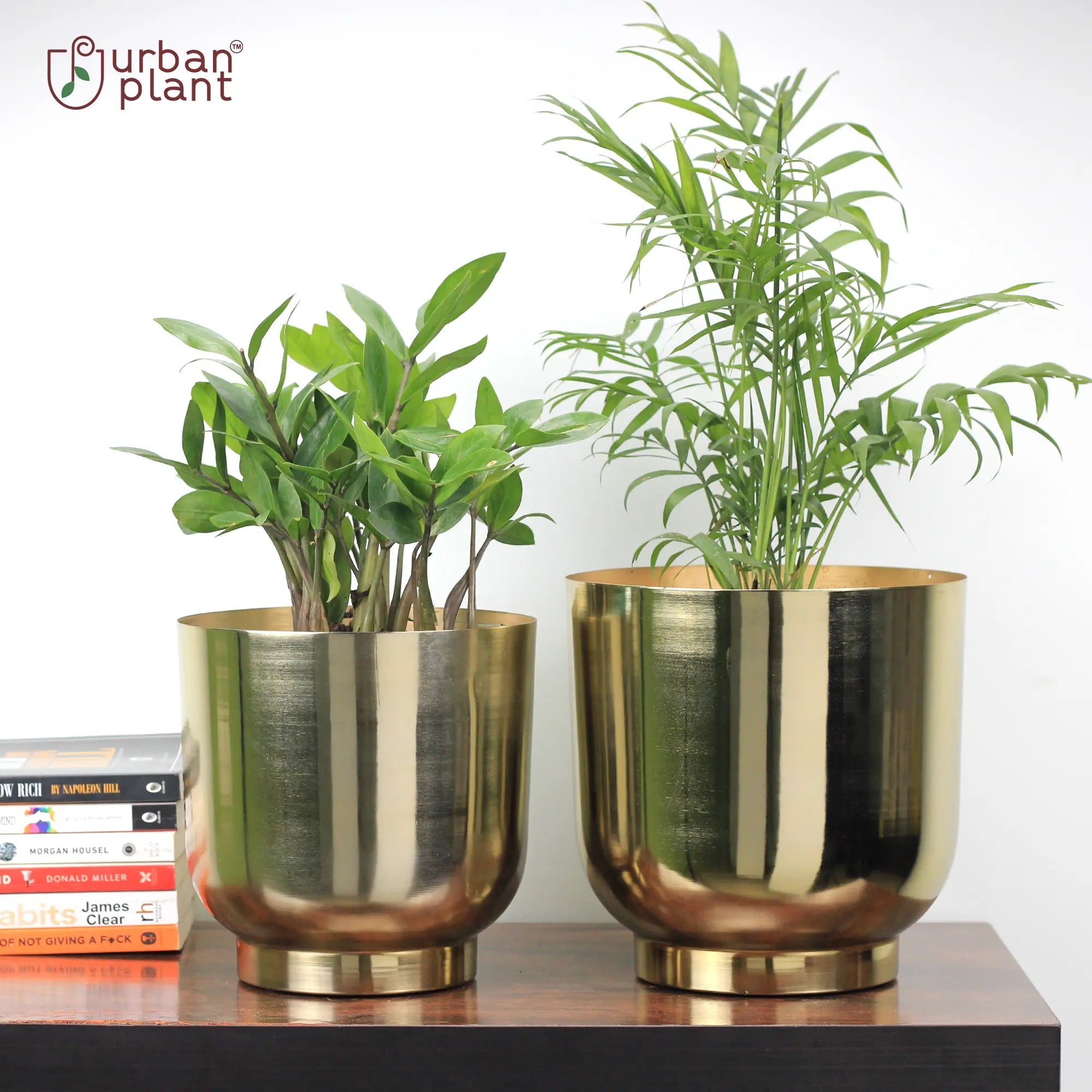 Orchid Metal Planter Pot Container (Set of 2) Table Top Planter Urban Plant Table Top Planter Urban Plant 
