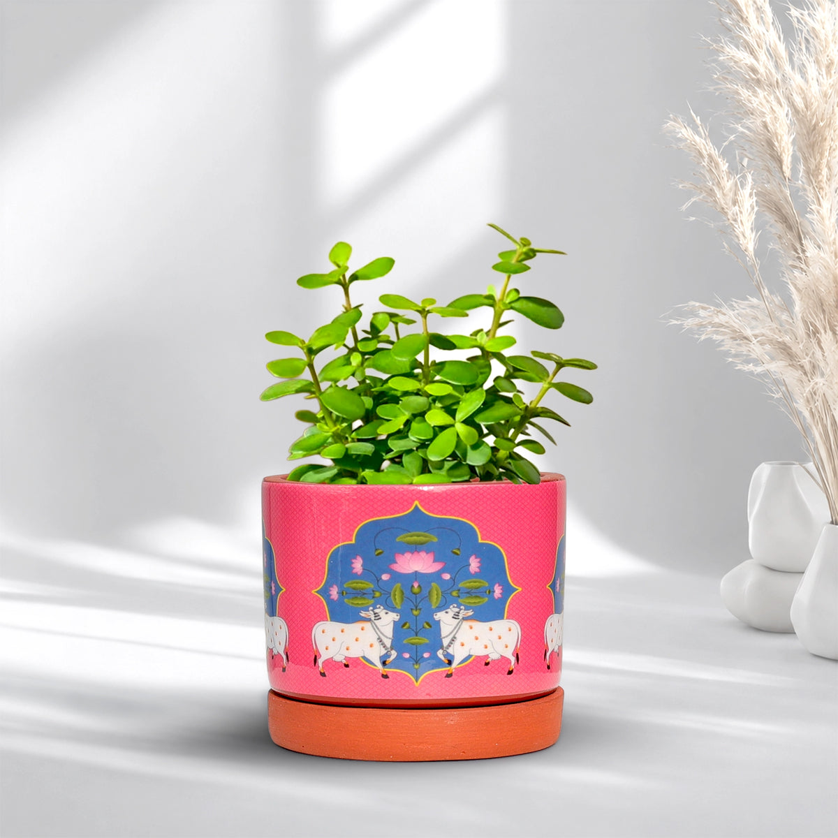 Riyasat 3D Terracotta Pot With Saucer