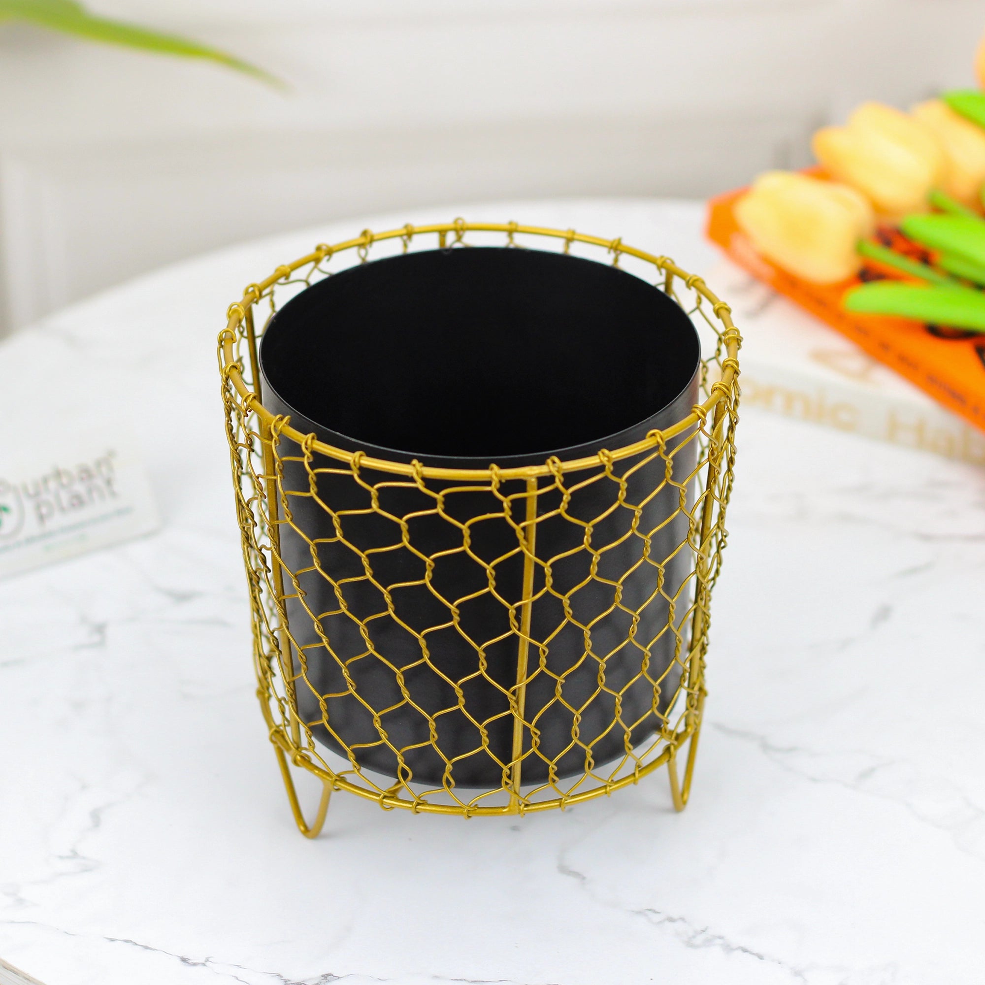 Golden Cage Metal Planter | Modern Designer Planter Pots for Living Room - 6" - 1270 Metal Planter Urban Plant 