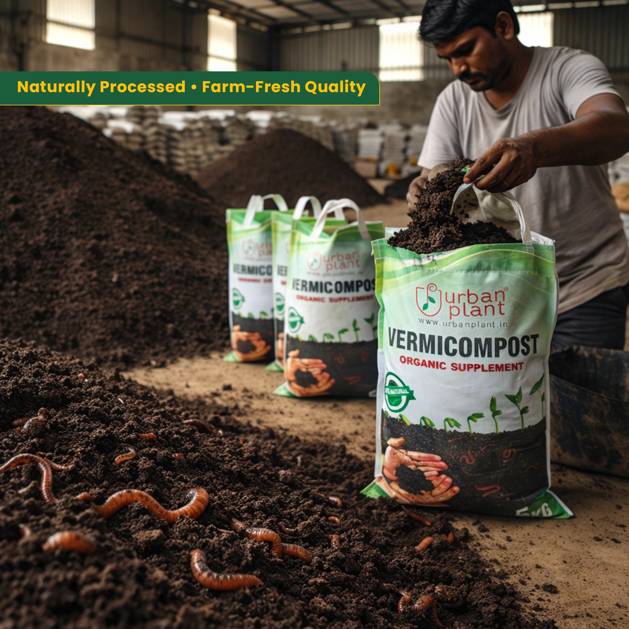 Vermicompost Organic Fertilizer making process