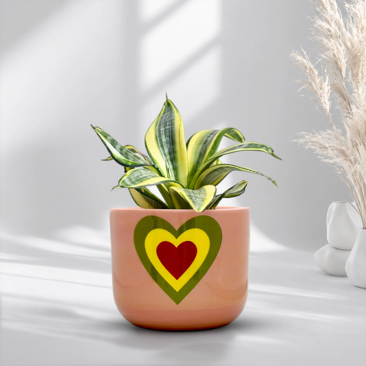 Urban Plant Heart Bloom Terracotta Pot
