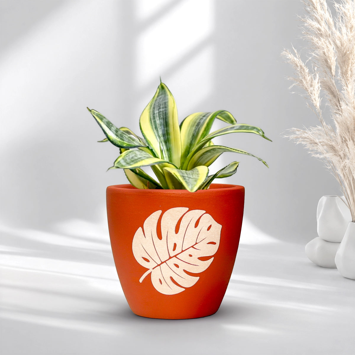 Clay Canvas Terracotta Pot Pattern: Botanical