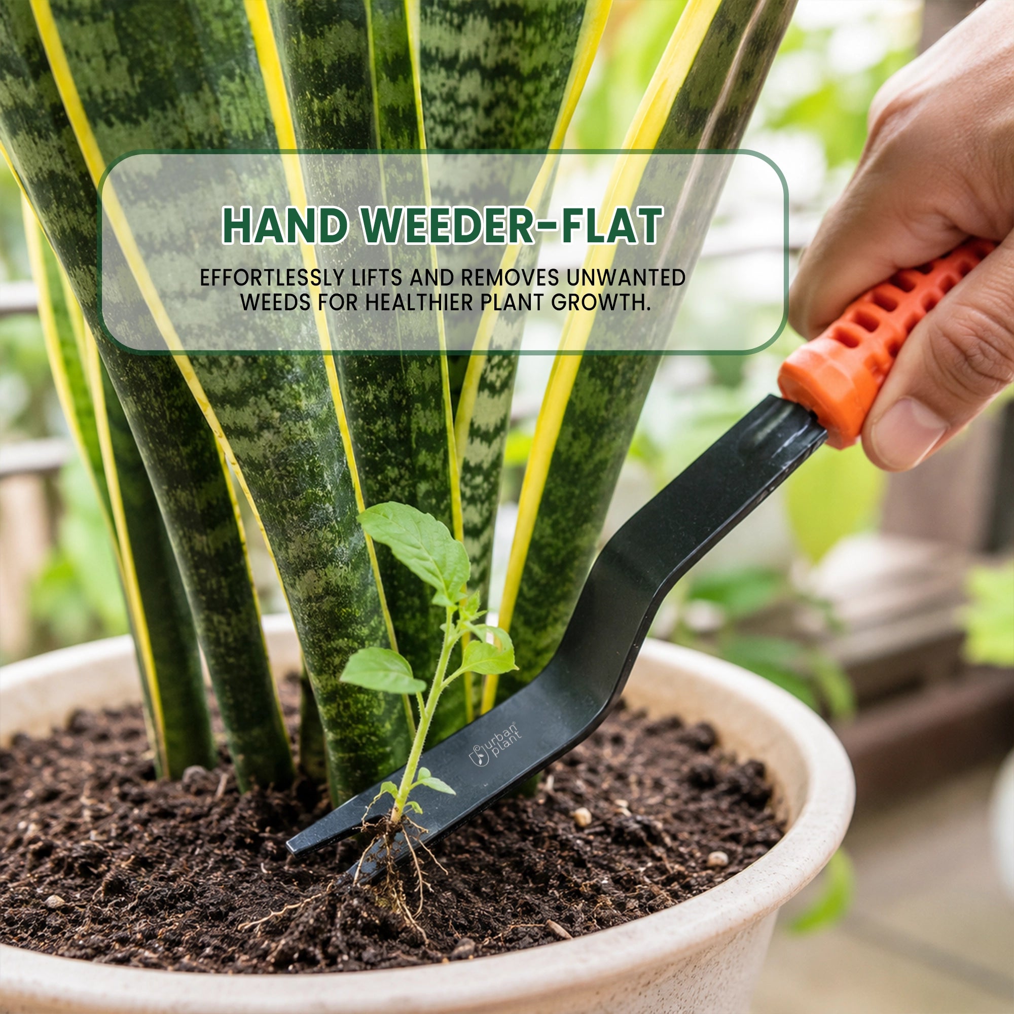 Urban Plant Hand Weeder-Flat