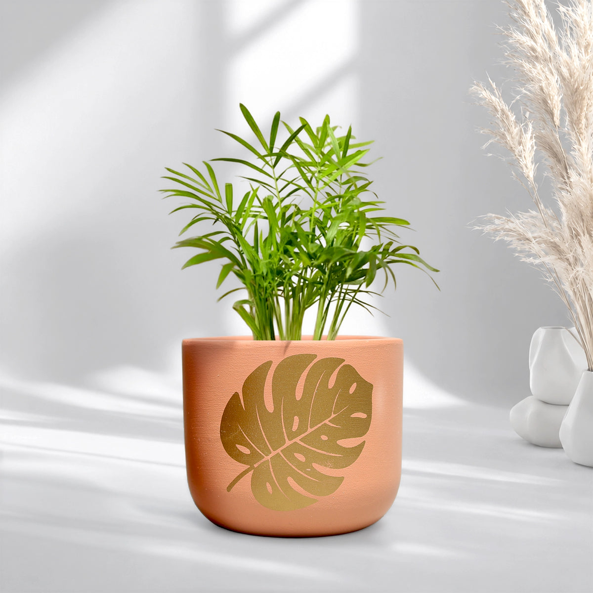 Urban Plant Monstera Muse Terracotta Pot Earth Gold