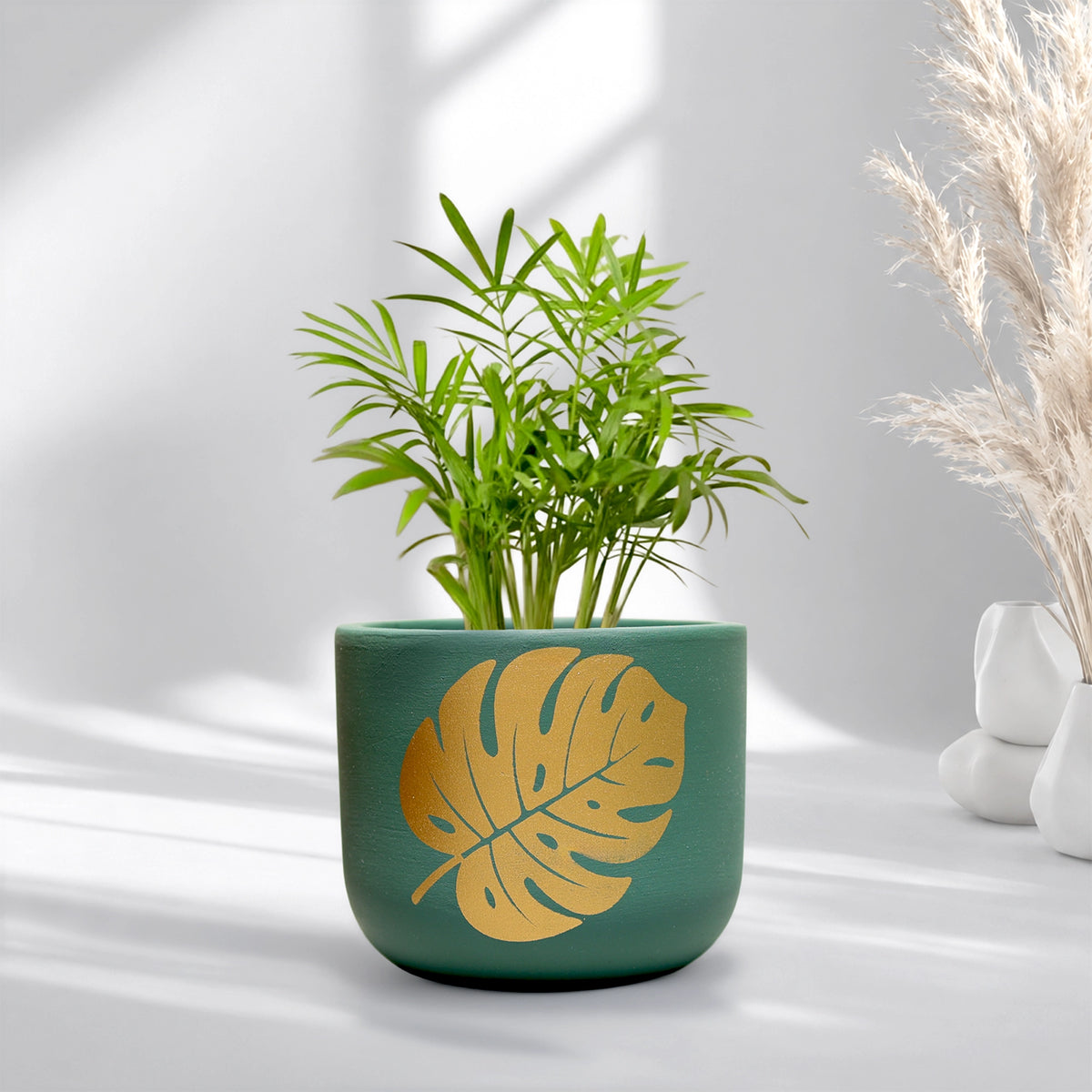 Urban Plant Monstera Muse Terracotta Pot Forest Gold