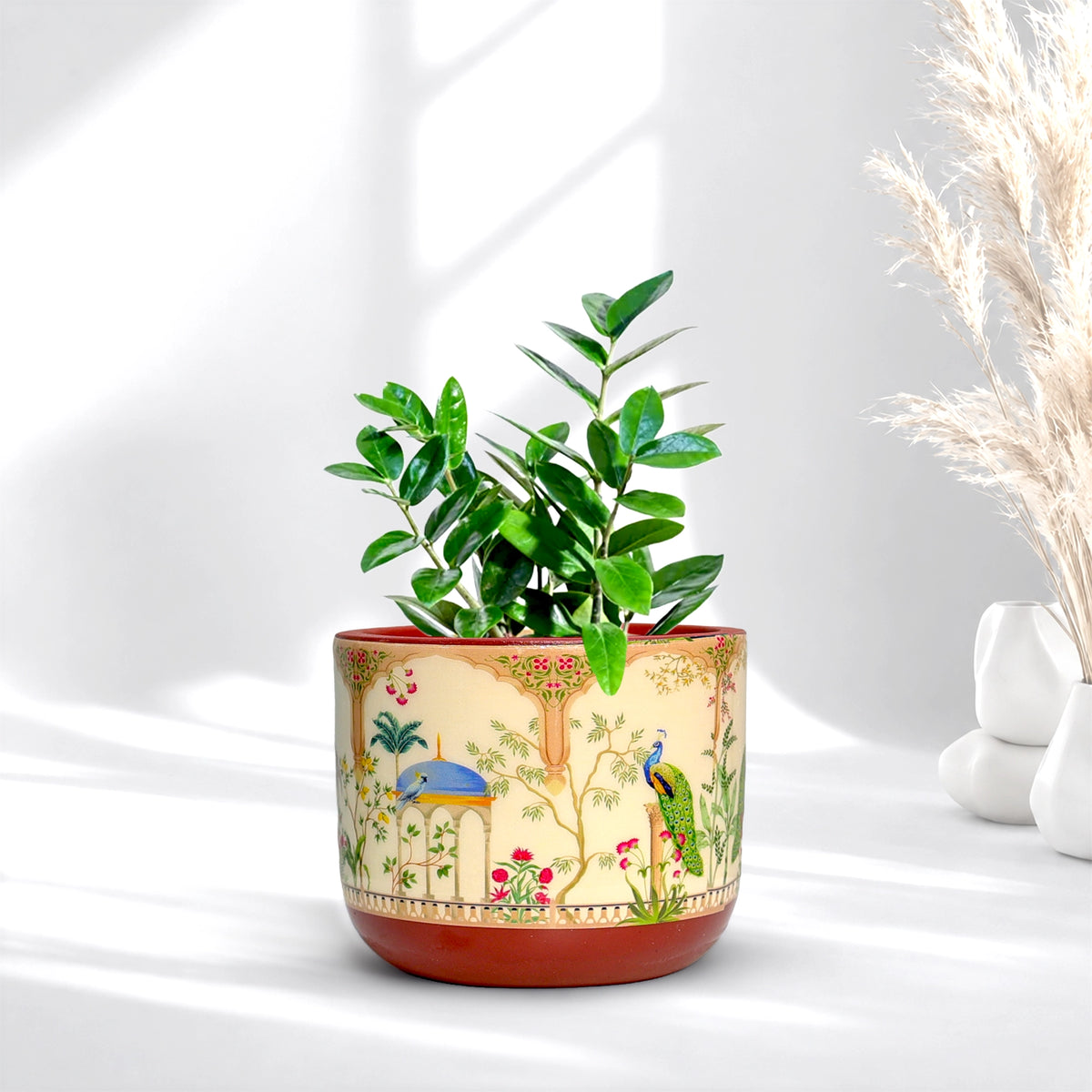 Urban Plant RANG 3D Terracotta Pot Color Badshahi Beige