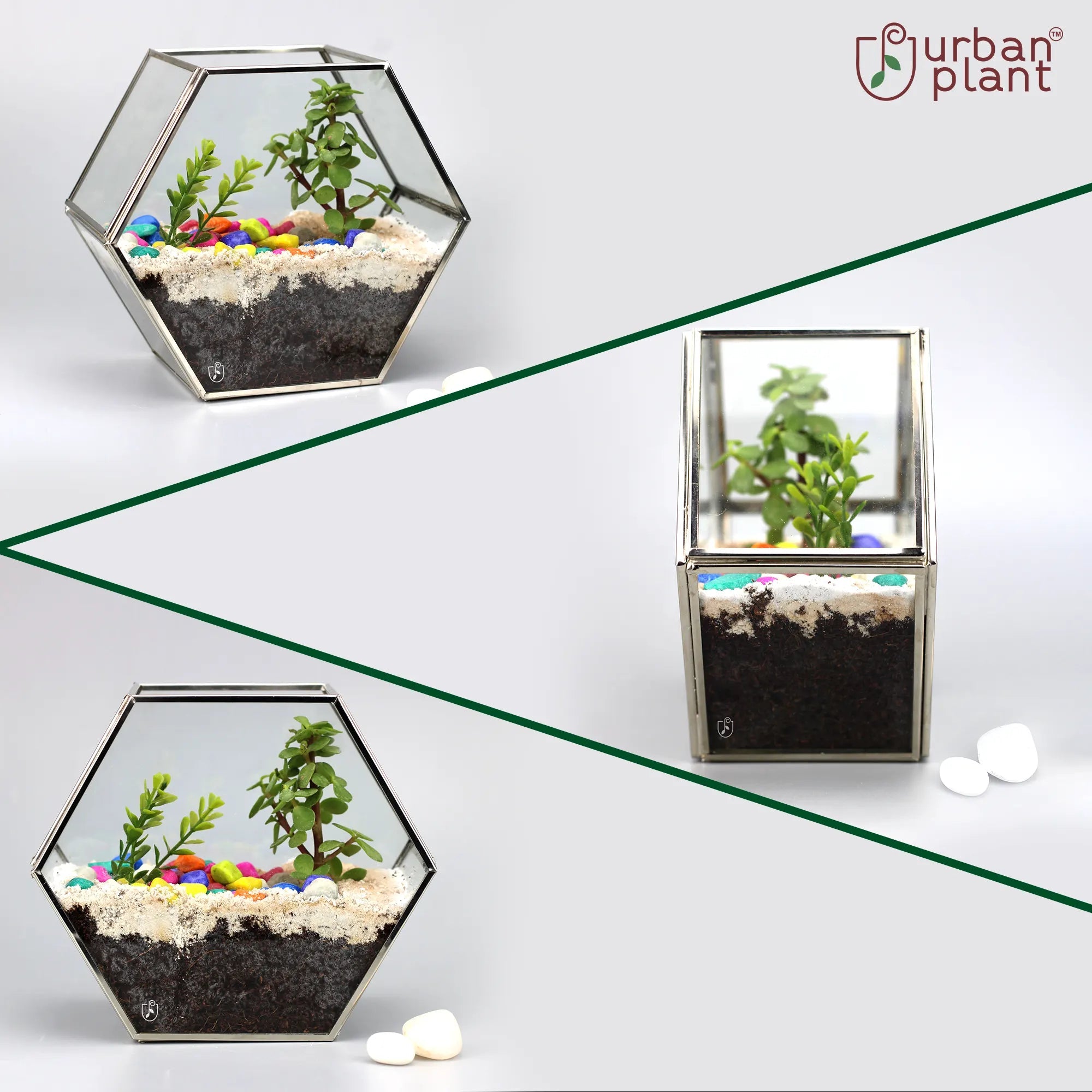 Decorative Hexagon Shape Table Top Glass Terrarium Online Glass Terrarium Urban Plant 