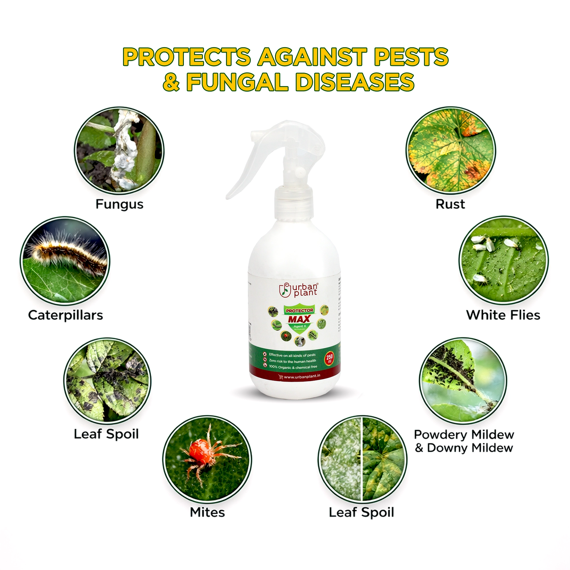 Protector MAX Pest Control for Vegetables, Fruits, and Greenie Plant Diet by Urban Plant 