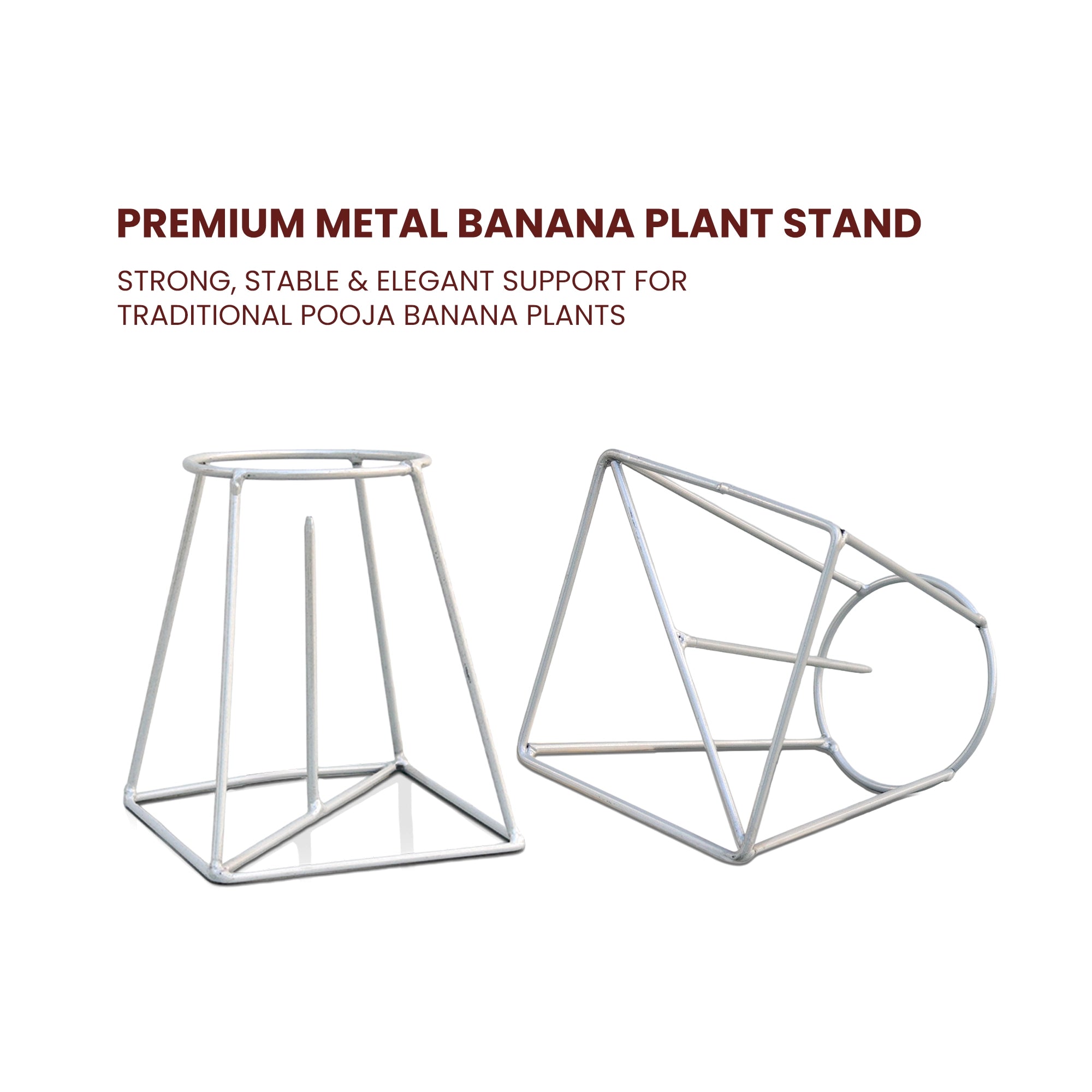 Urban Plant Banana Stand/Holder for Pooja