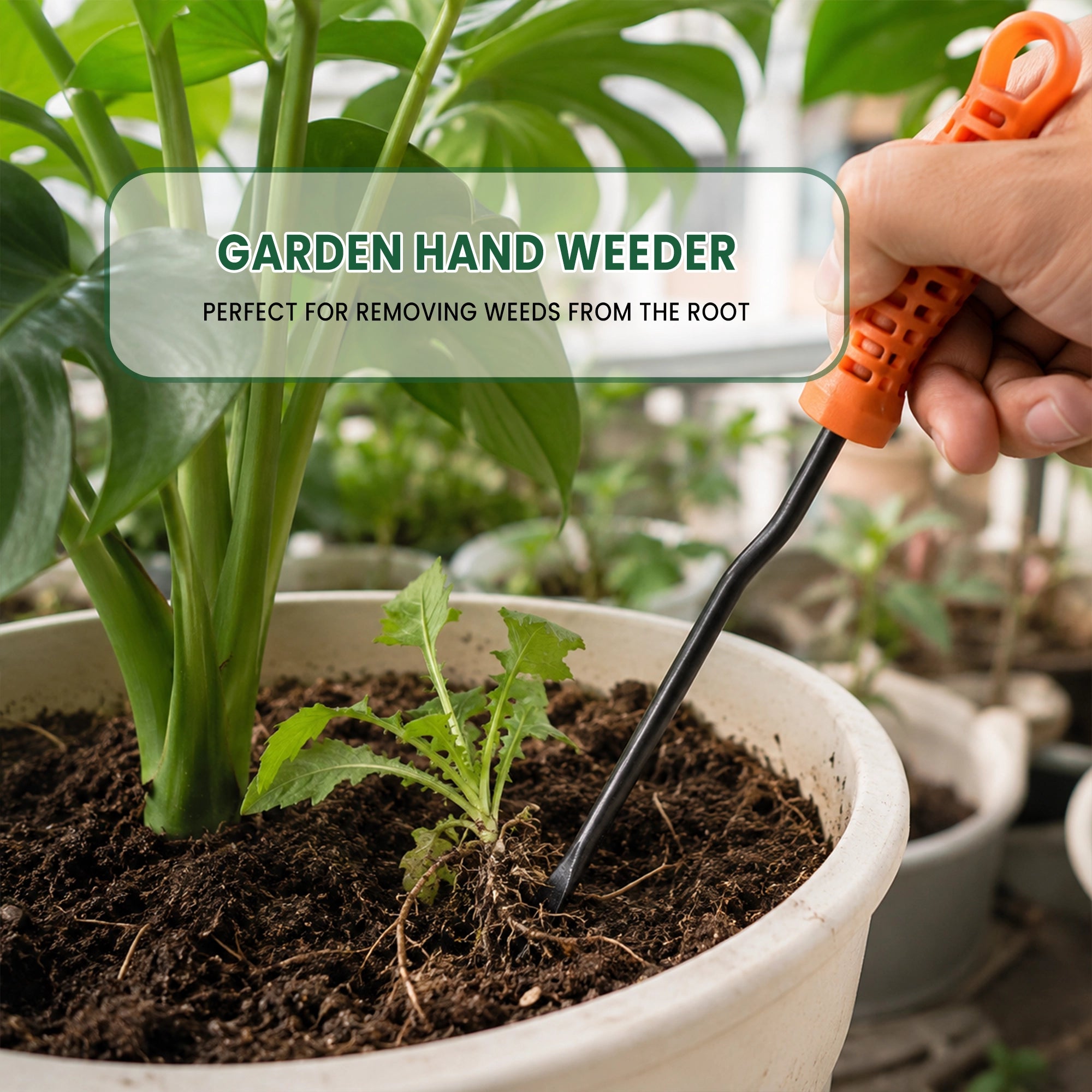 Urban Plant Garden Hand Weeder