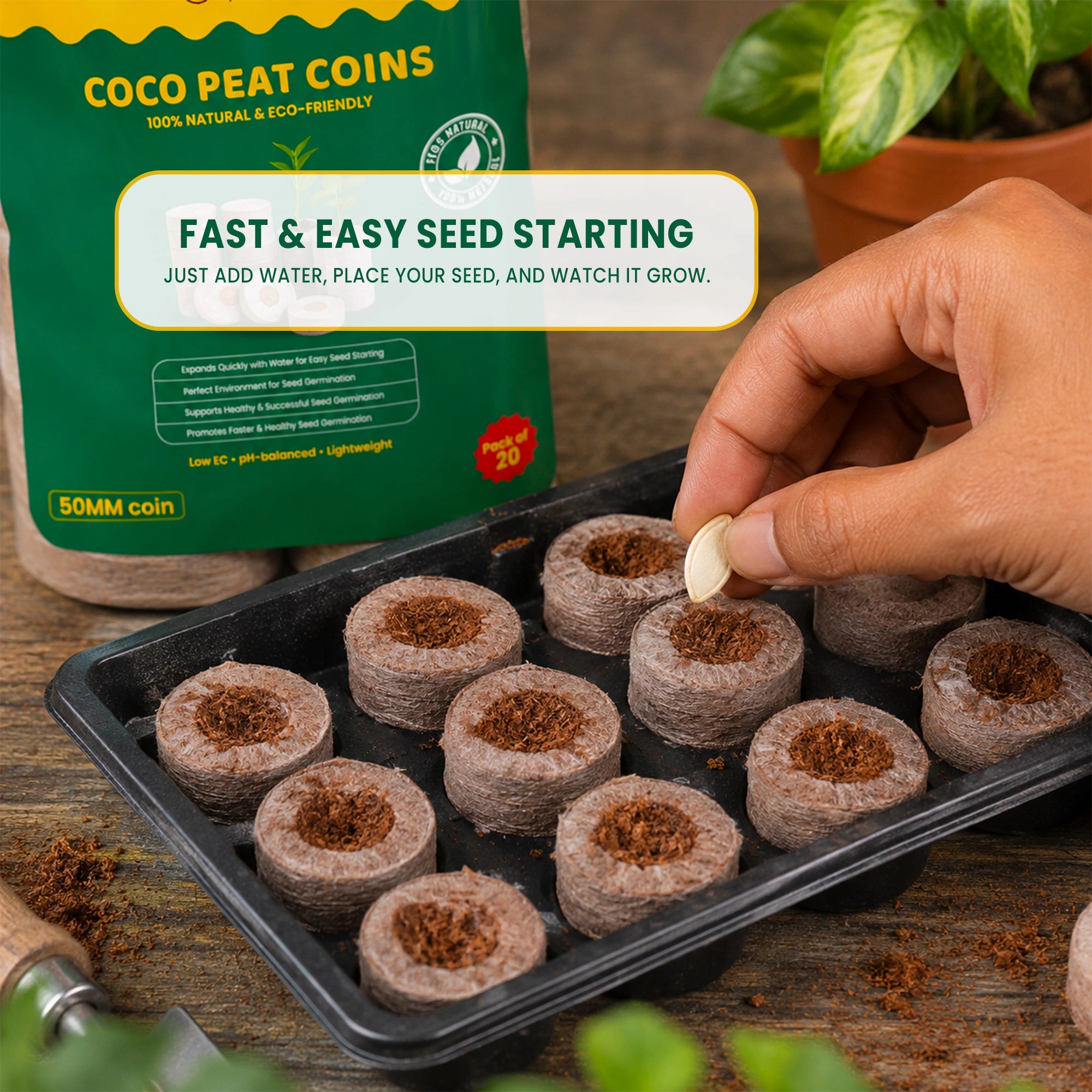 Cocopeat Seedling Coin - (with Plug)