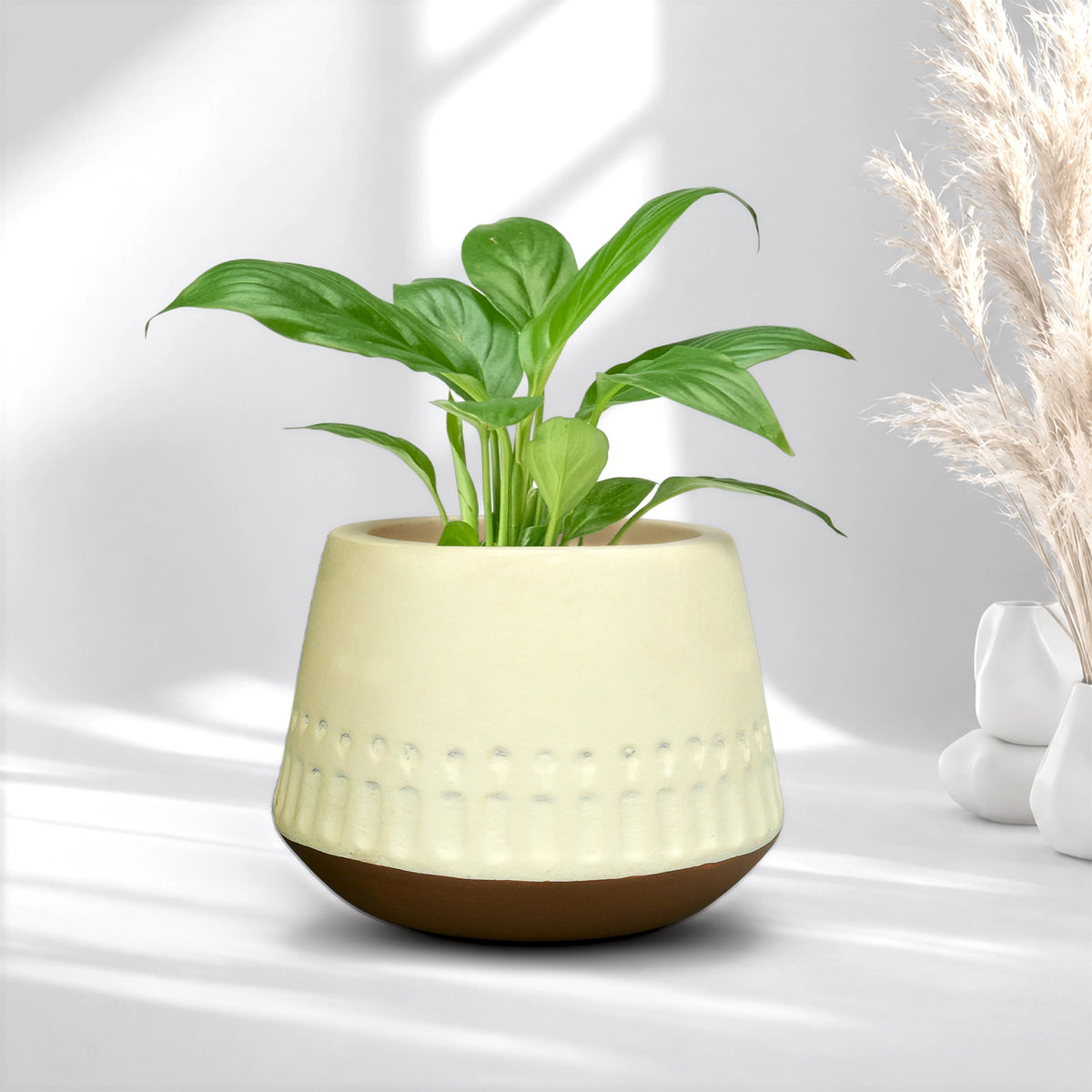 Majesty Terracotta Pot 