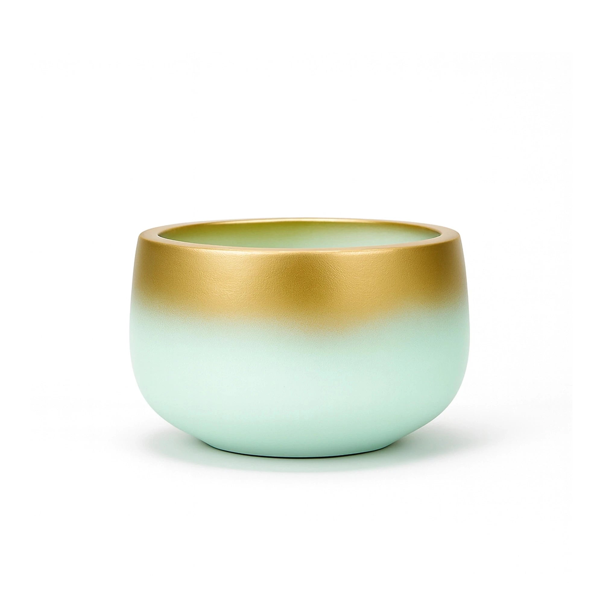 Celestia Terracotta Pot Terracotta Pot Urban Plant 