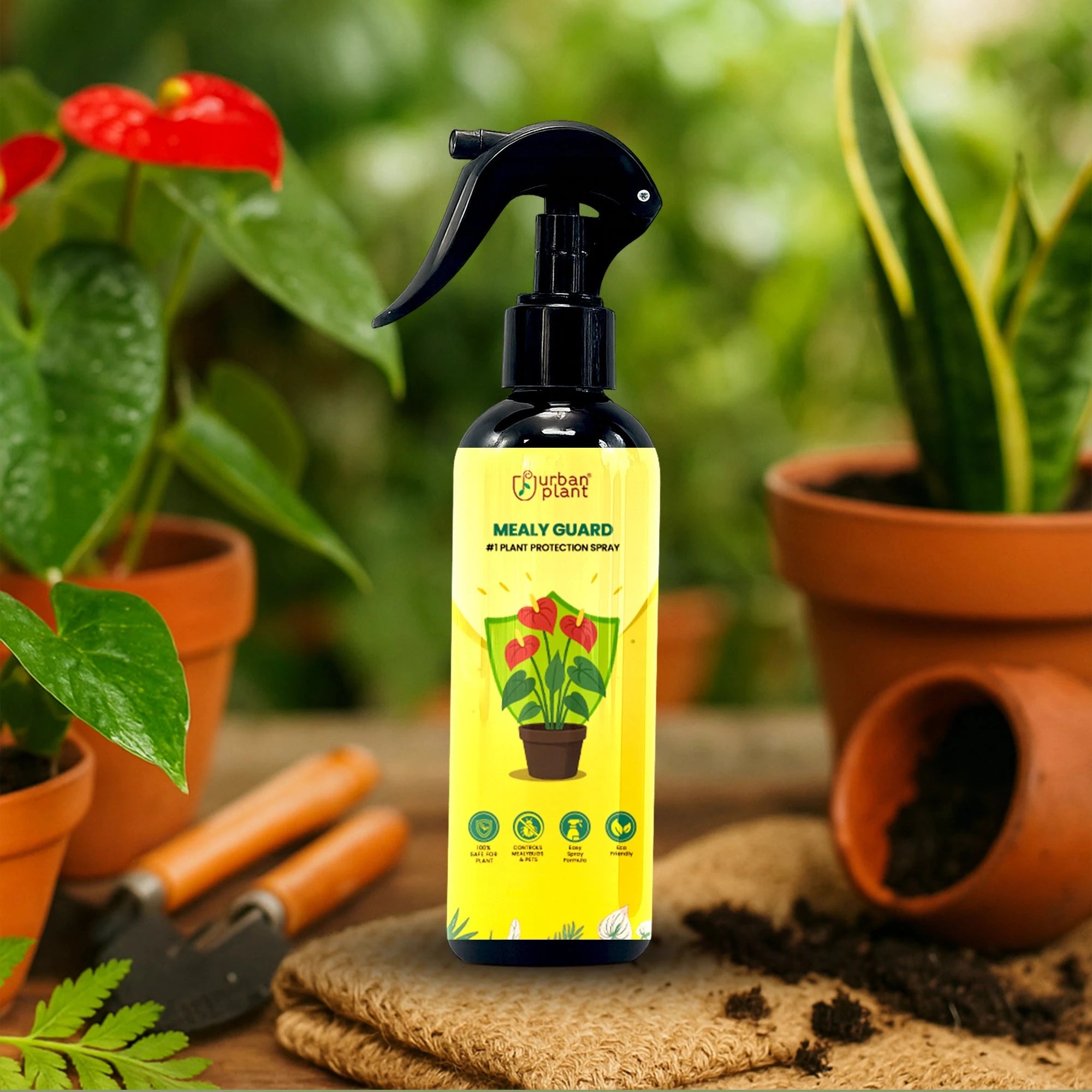 Urban Plant Mealy Guard – Natural Plant Protection Spray for Mealy Bugs & Pests Urban Plant 