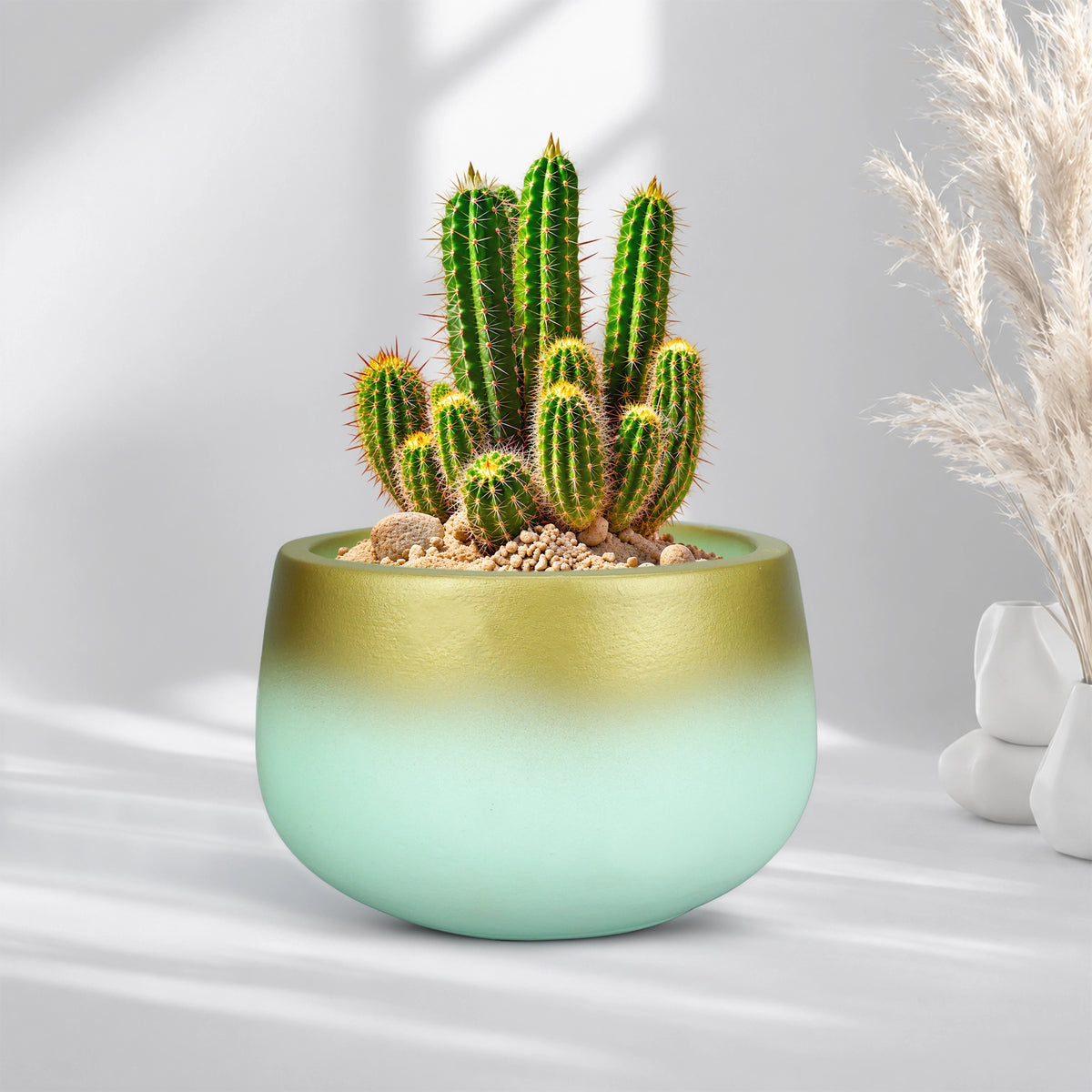 Celestia Terracotta Pot