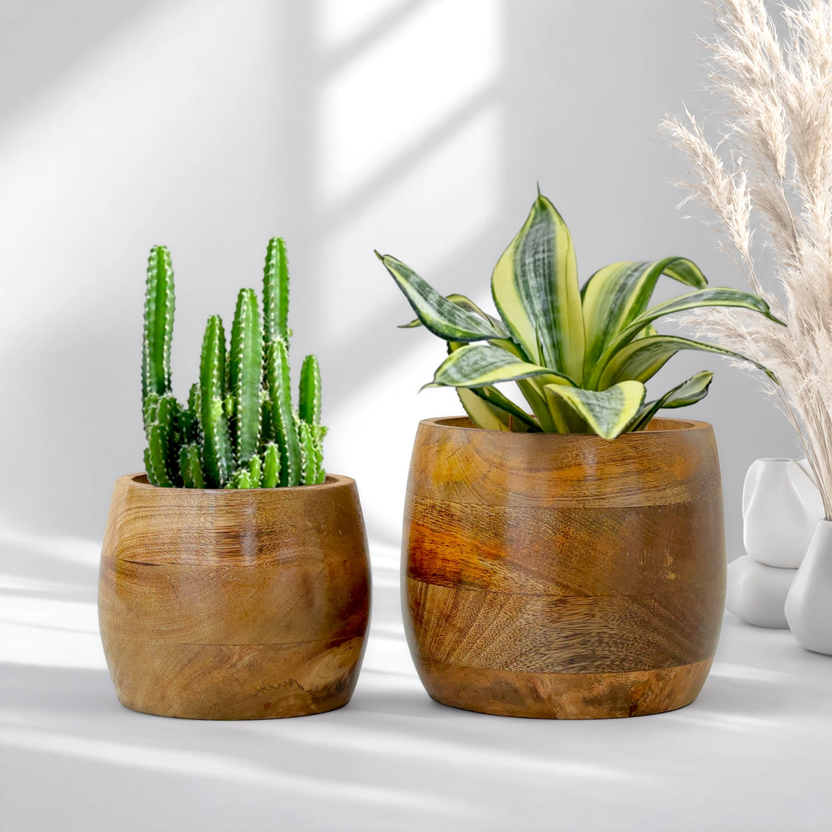 Earth Bowl Wooden Planters (Set of 2): Shape: Curve