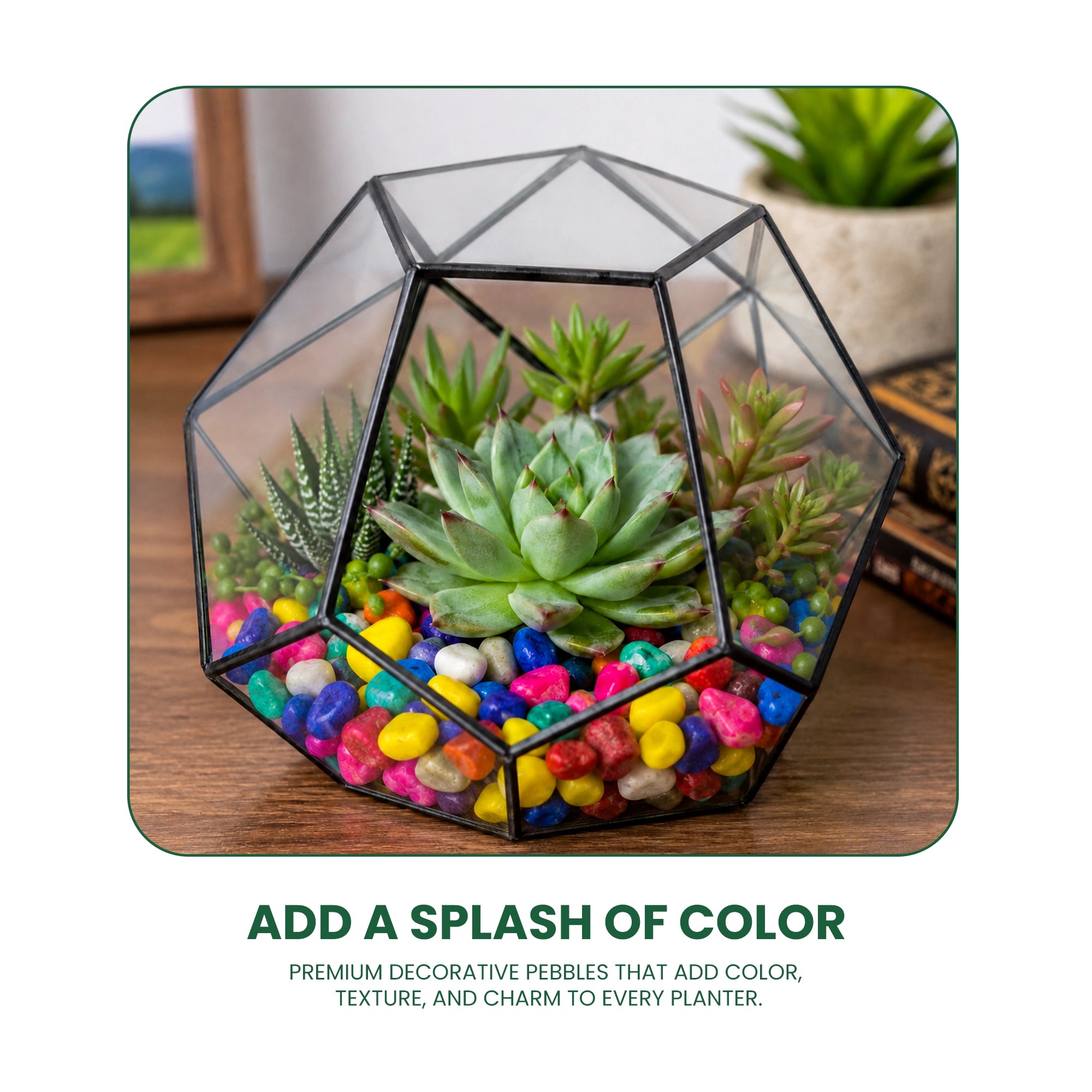 Urban Plant Colourful Decorative Pebbles or stone for Pot