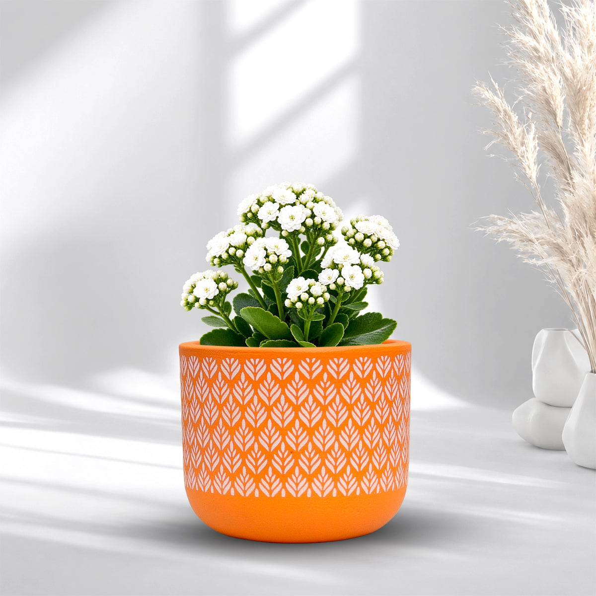 Virasat Terracotta Pot Orange Charm