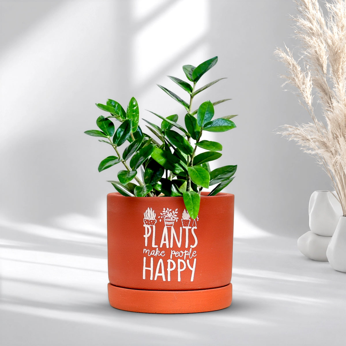Joy Root Terracotta Pot with Saucer Pattern: Plant Grows