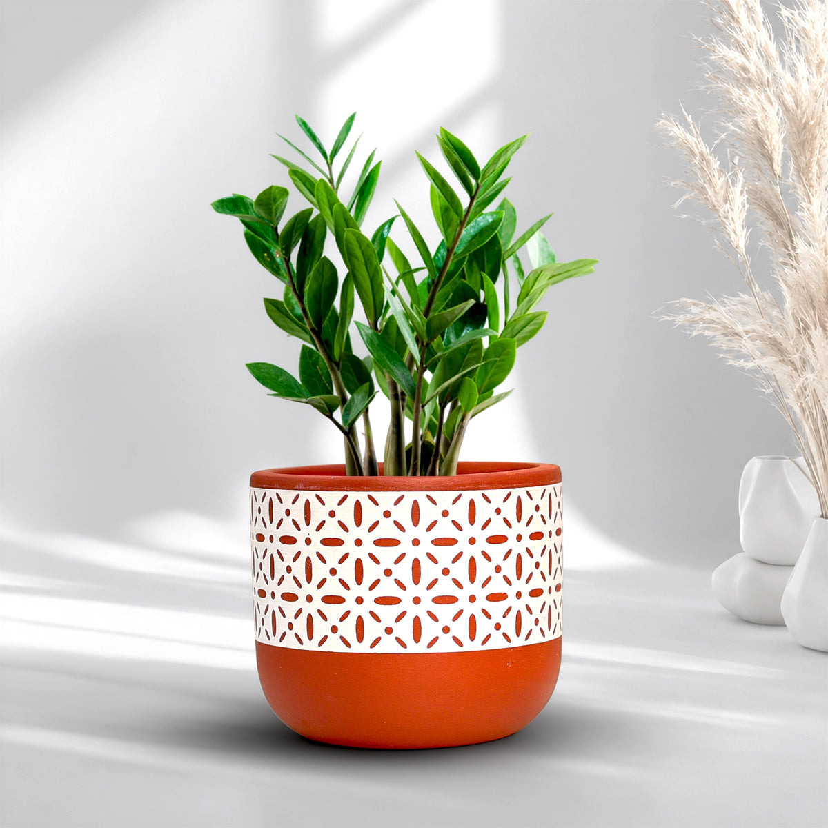 Virasat Terracotta Pot Botanika