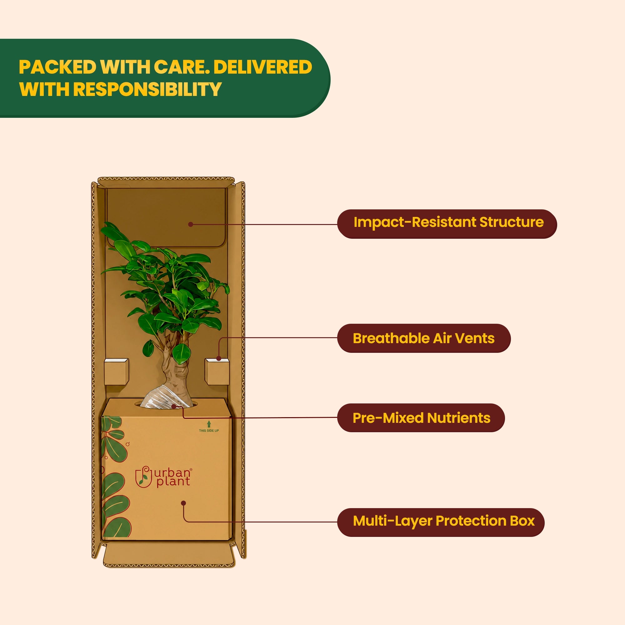 plants secure packing