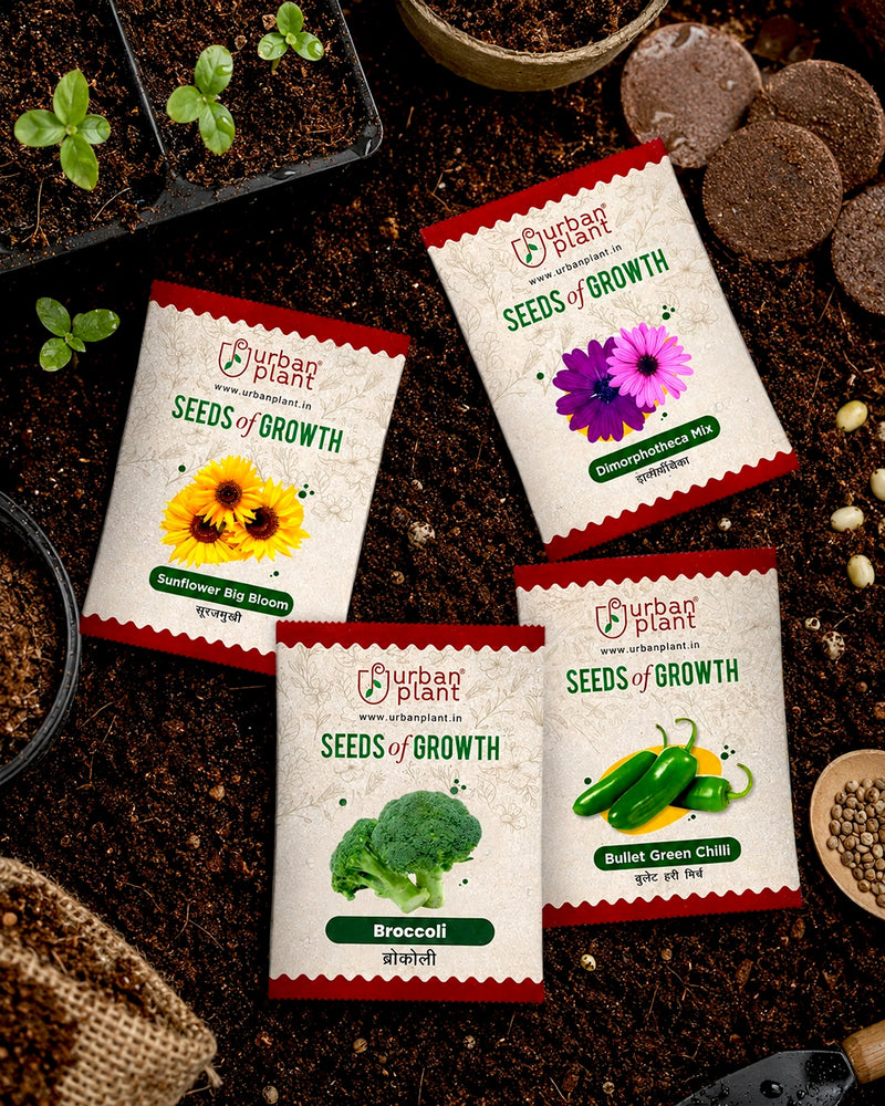 Seeds