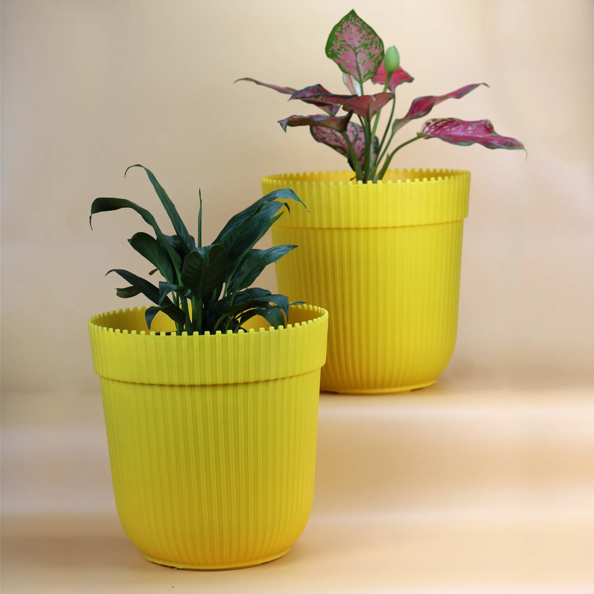 Plastic Round Shape Planter Pot -Set of 2 (10 inch) Urban Plant Yellow 2 