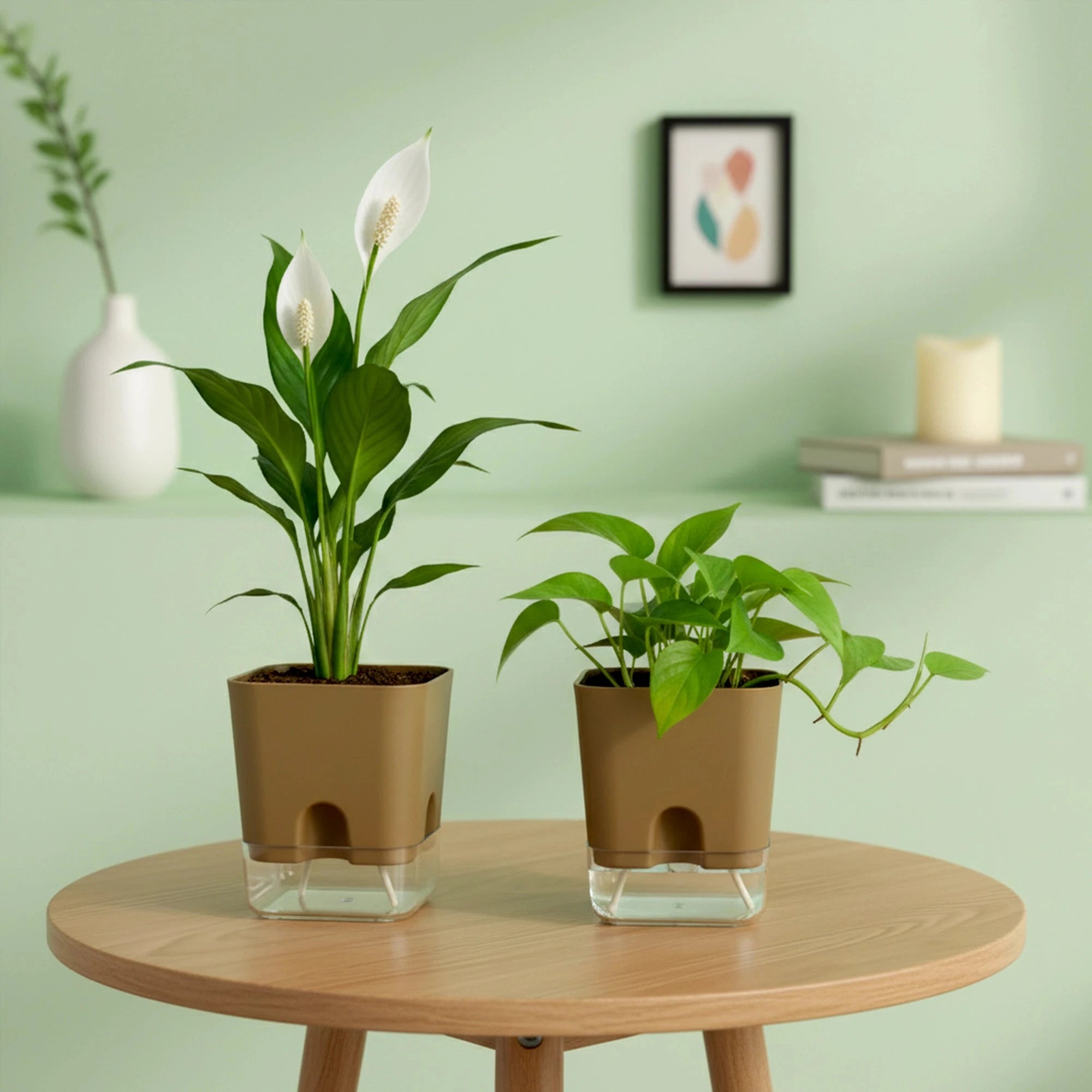 Aquaflow Self Watering Pot Plastic Pot Urban Plant Brown 2 