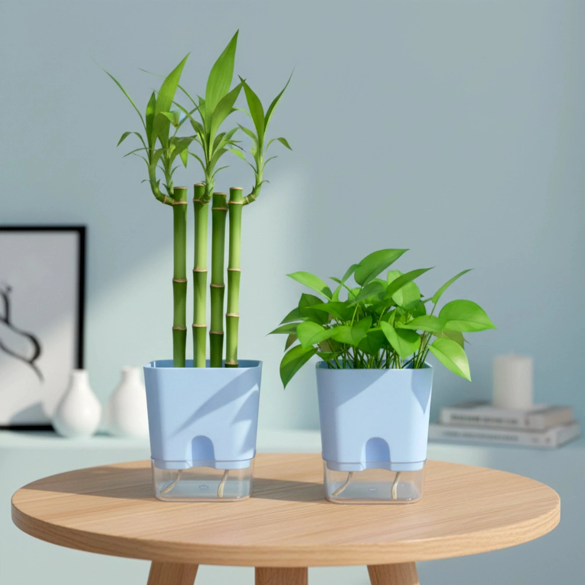 Aquaflow Self Watering Pot Plastic Pot Urban Plant Blue 2 