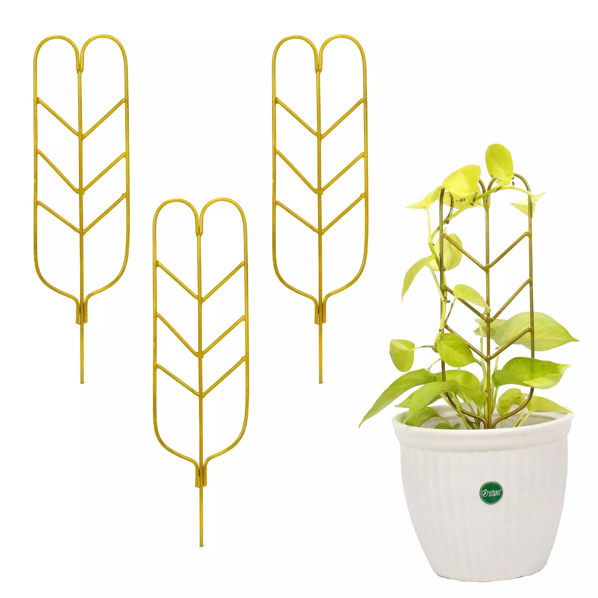 3Pcs Leafy Metal Plant Trellis for Plant Support Urban Plant Gold 