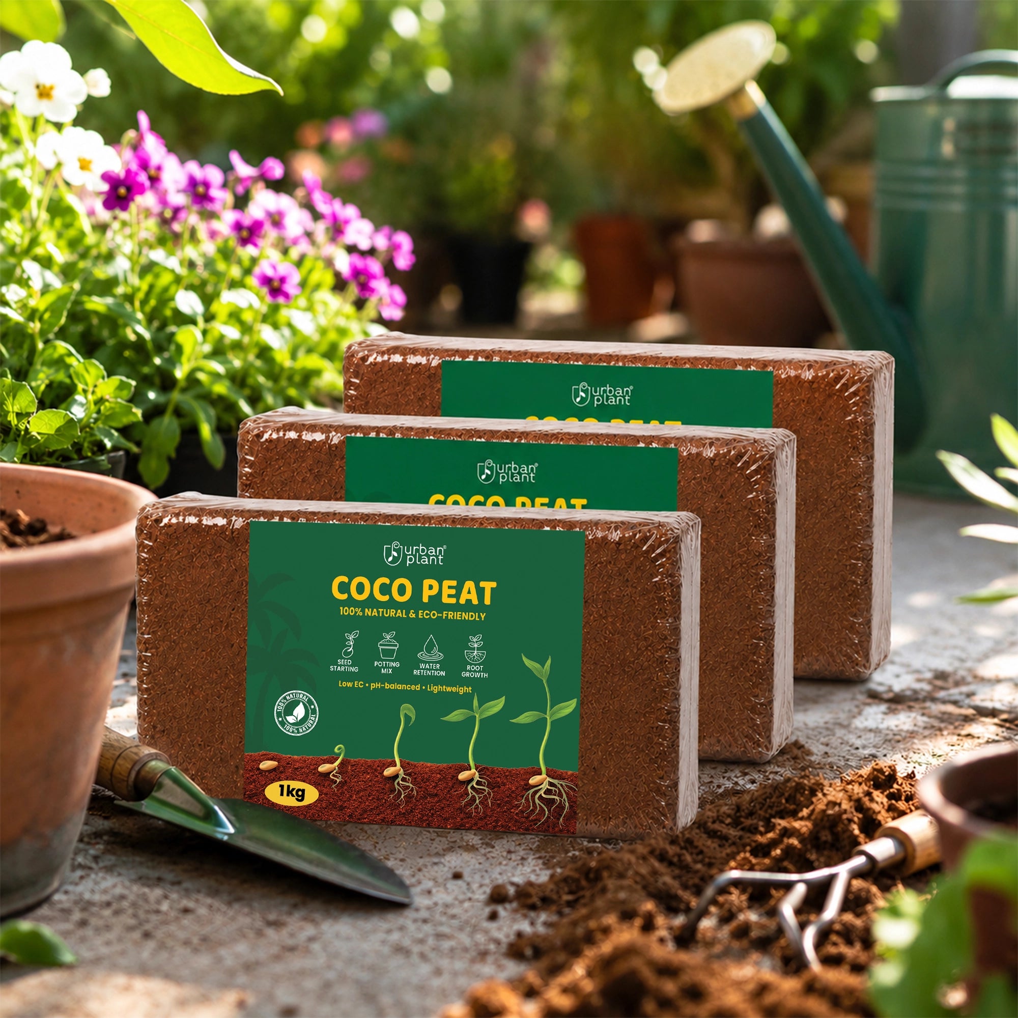 Cocopeat Brick - 1 kg pack of 3