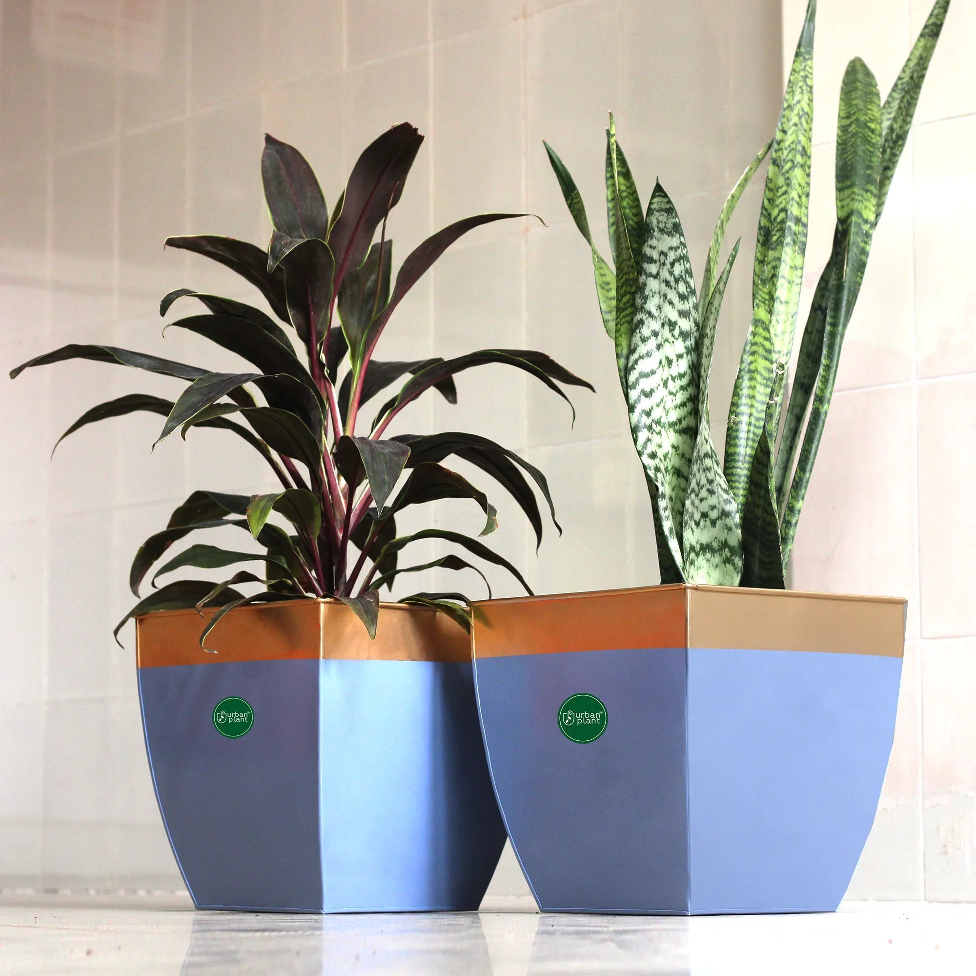 neighborhood 伊勢丹メンズ POP UP ネイバーフッド SRL.SQUARETYPE