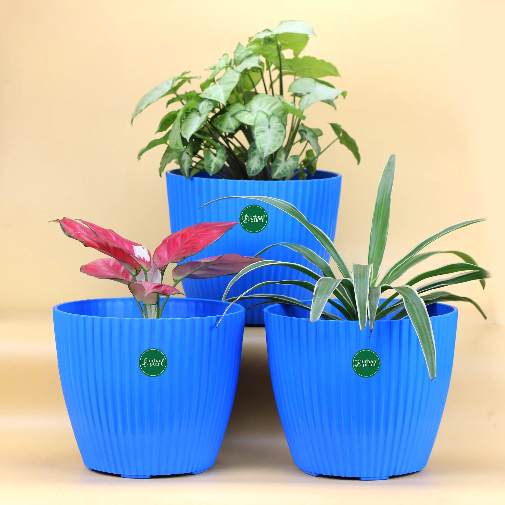 Decorative Round Shape Versatile 9-inch Plastic Pots for Garden/ Living Room Plastic Pot Urban Plant 