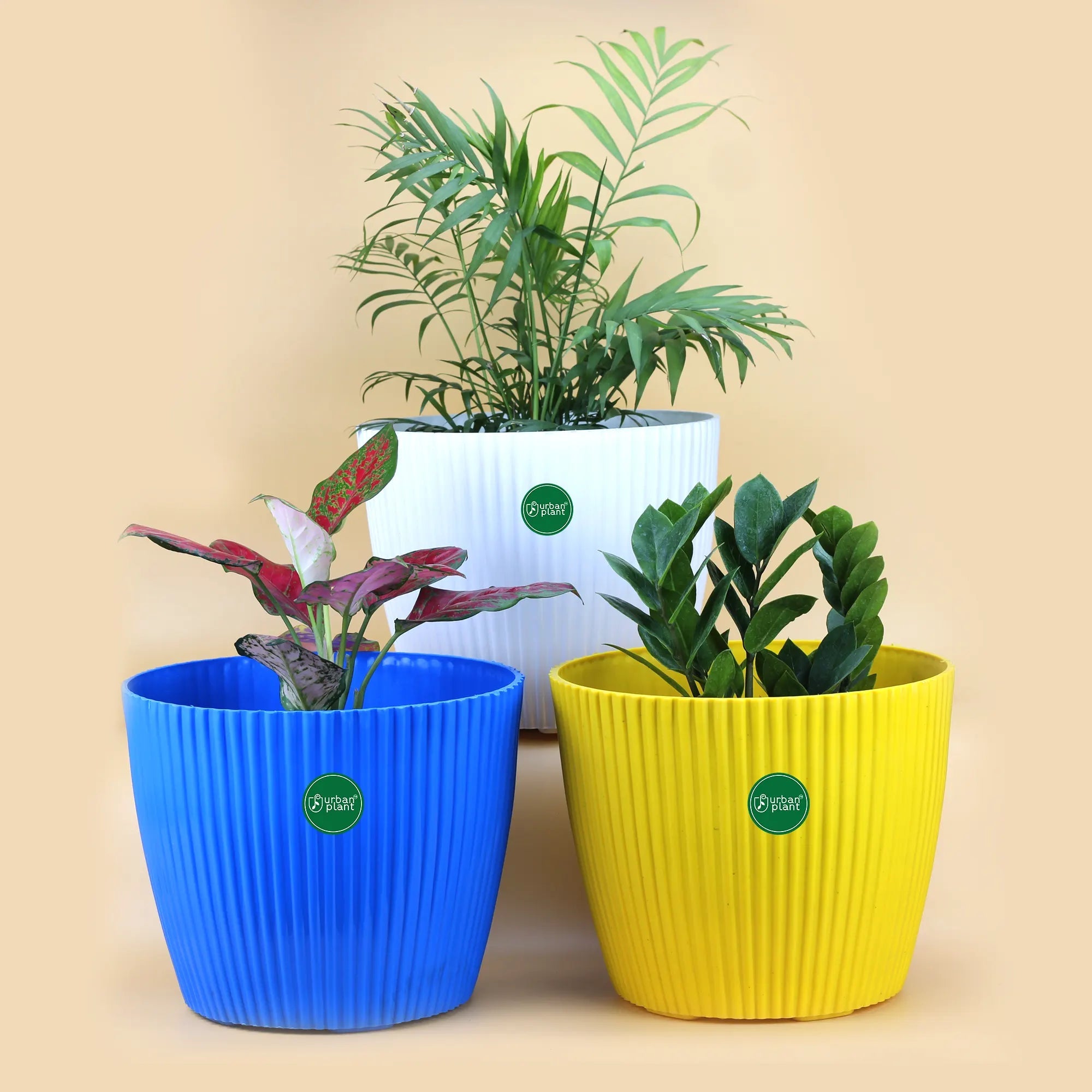 Decorative Round Shape Versatile 9-inch Plastic Pots in Blue, White, and Yellow Urban Plant Multicolor Set of 3 