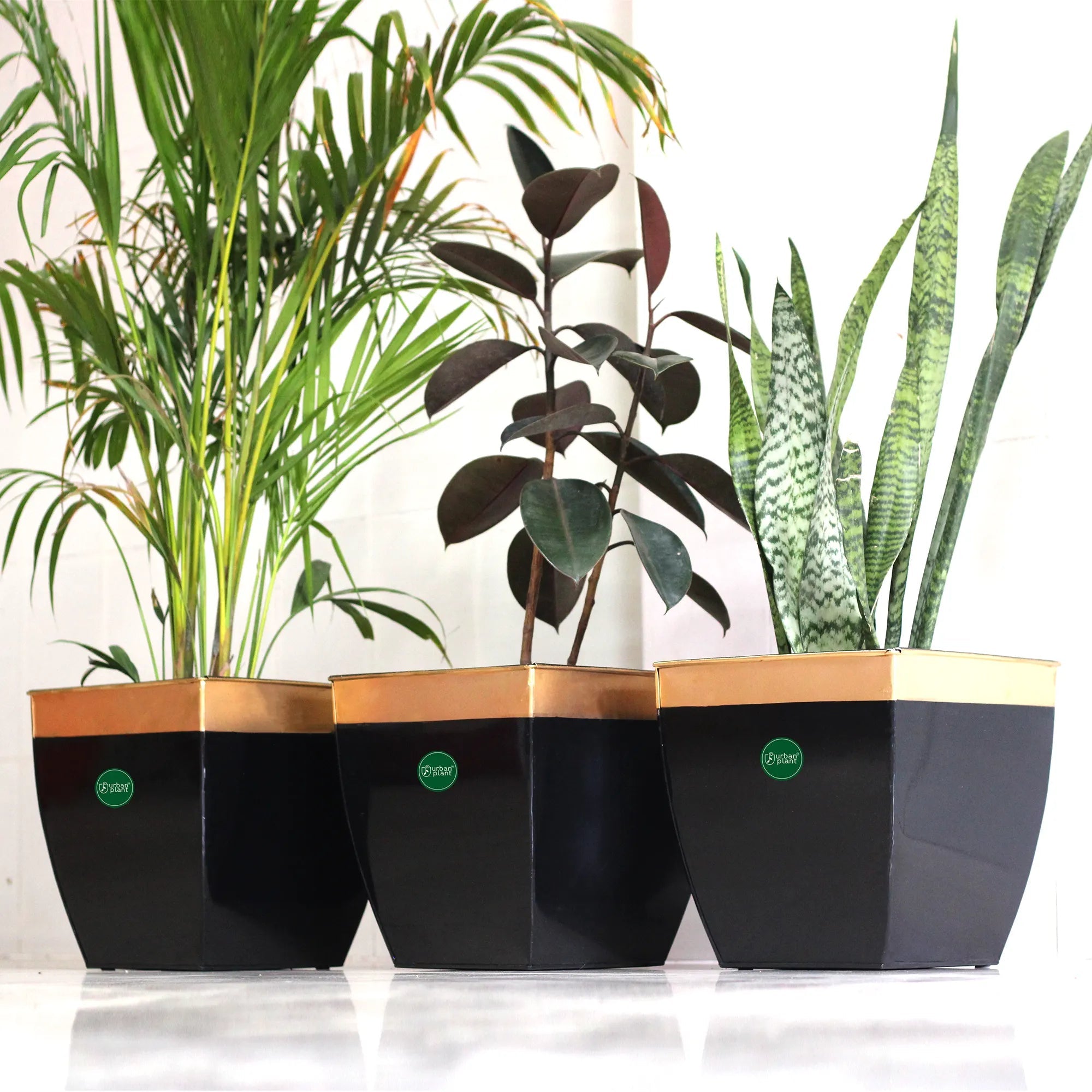 Midland Lawn Patio Plant Metal Pot 12 inch Metal Patio Planter Urban Plant Set of 3 Black 