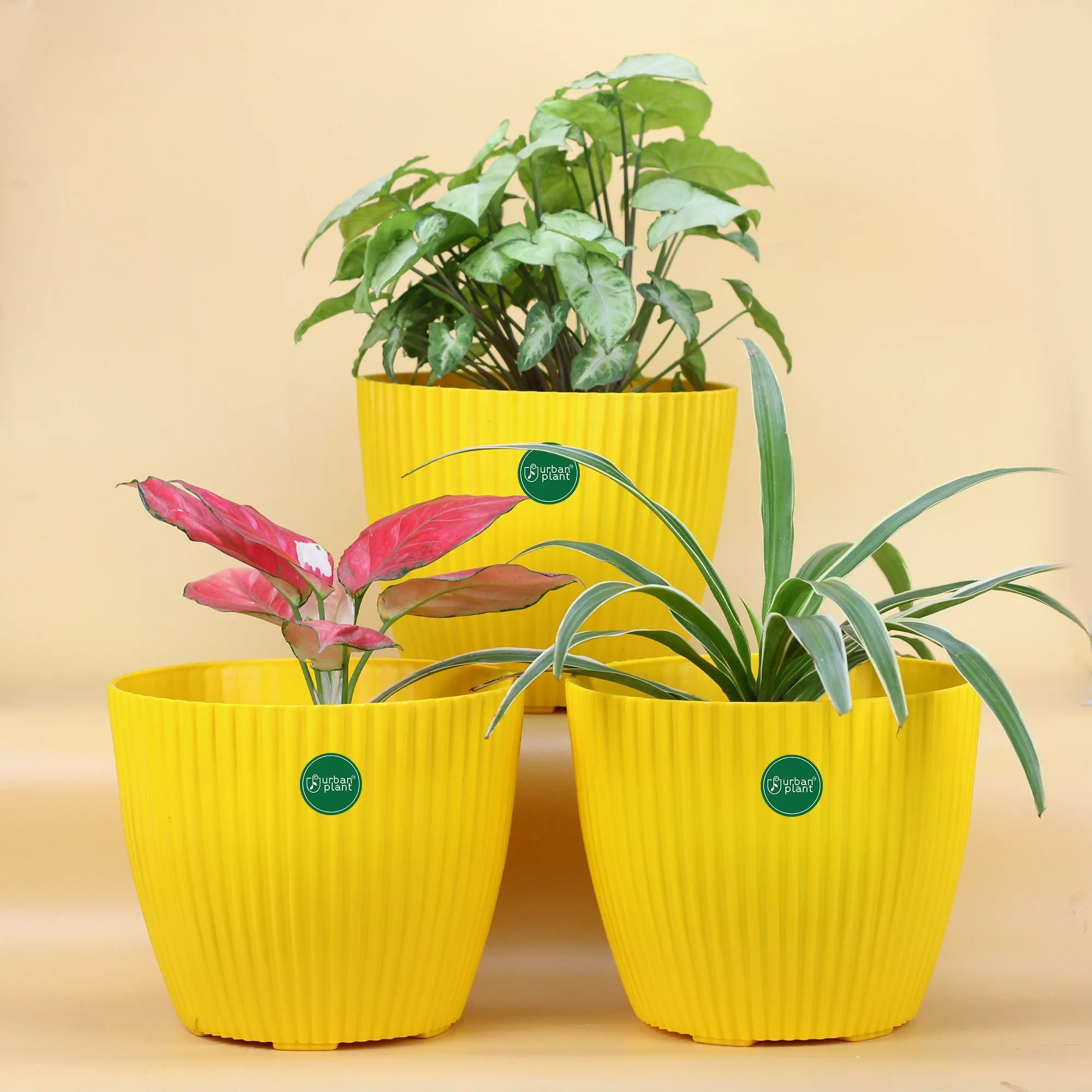 Decorative Round Shape Versatile 9-inch Plastic Pots for Garden/ Living Room Plastic Pot Urban Plant 
