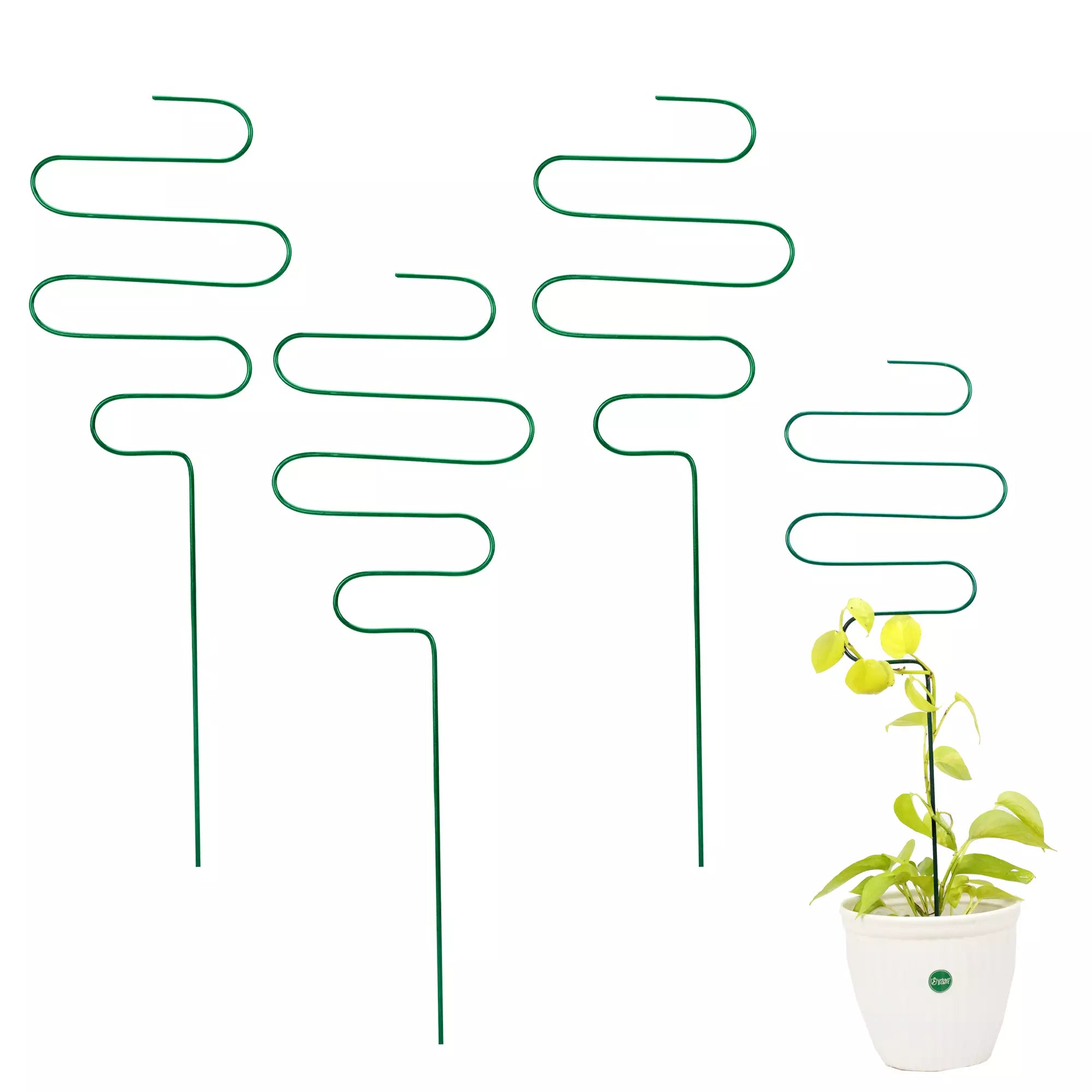 3Pcs Metal Plant Trellis for Potted Plants Urban Plant Green Spiral 