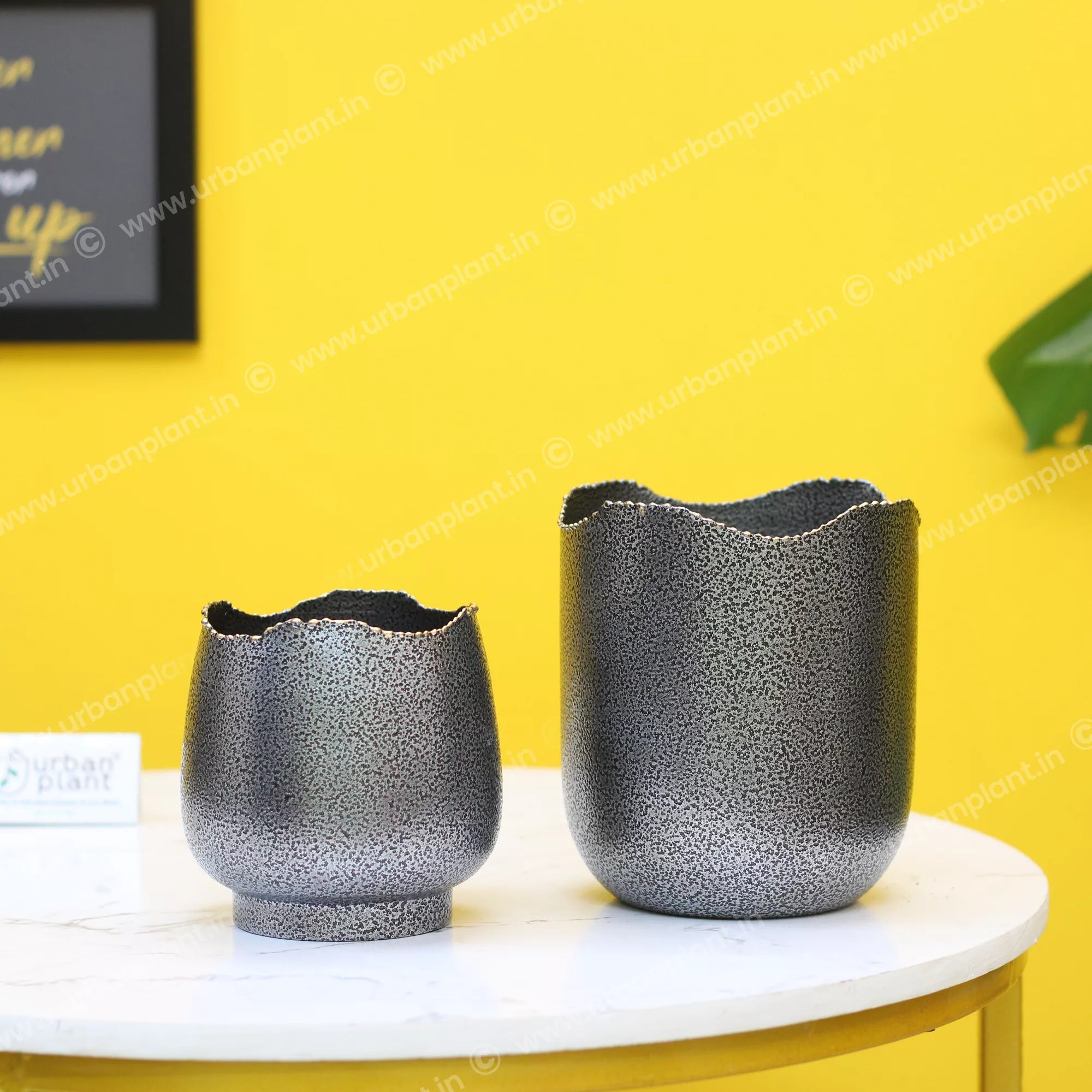 Easter Metal Pot Hammered Texture Plant Holder 5 Inch Metal Planter Urban Plant 