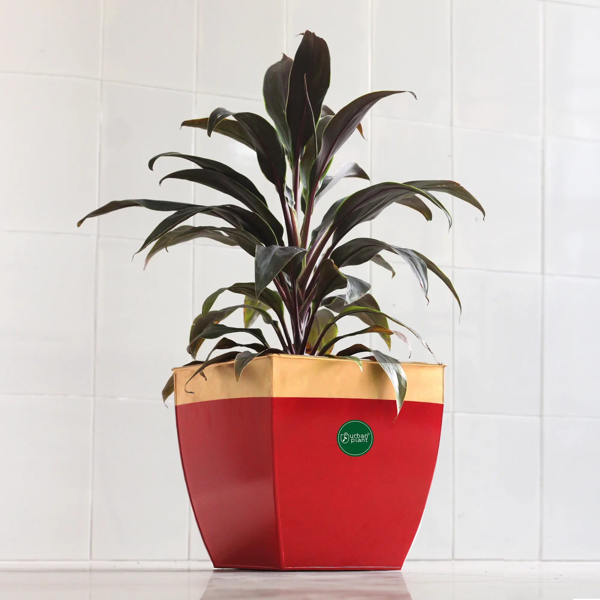 Midland Lawn Patio Plant Metal Pot 12 inch Metal Patio Planter Urban Plant Single Red 