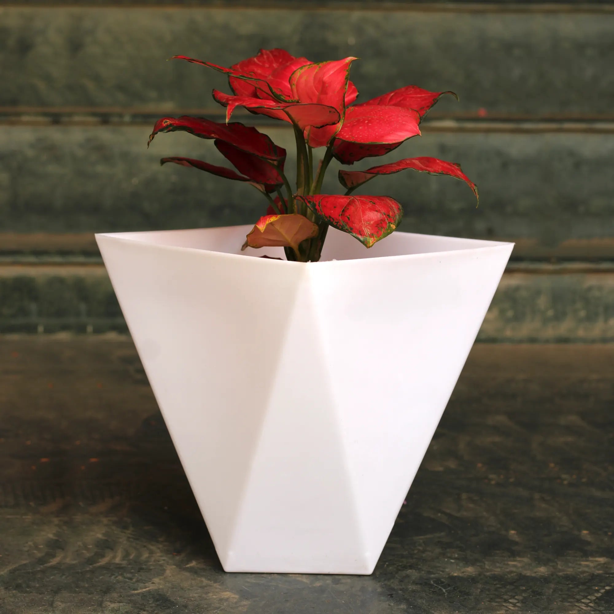 Urban Plant Octawave Planter Pot (Set Of 3) Urban Plant 