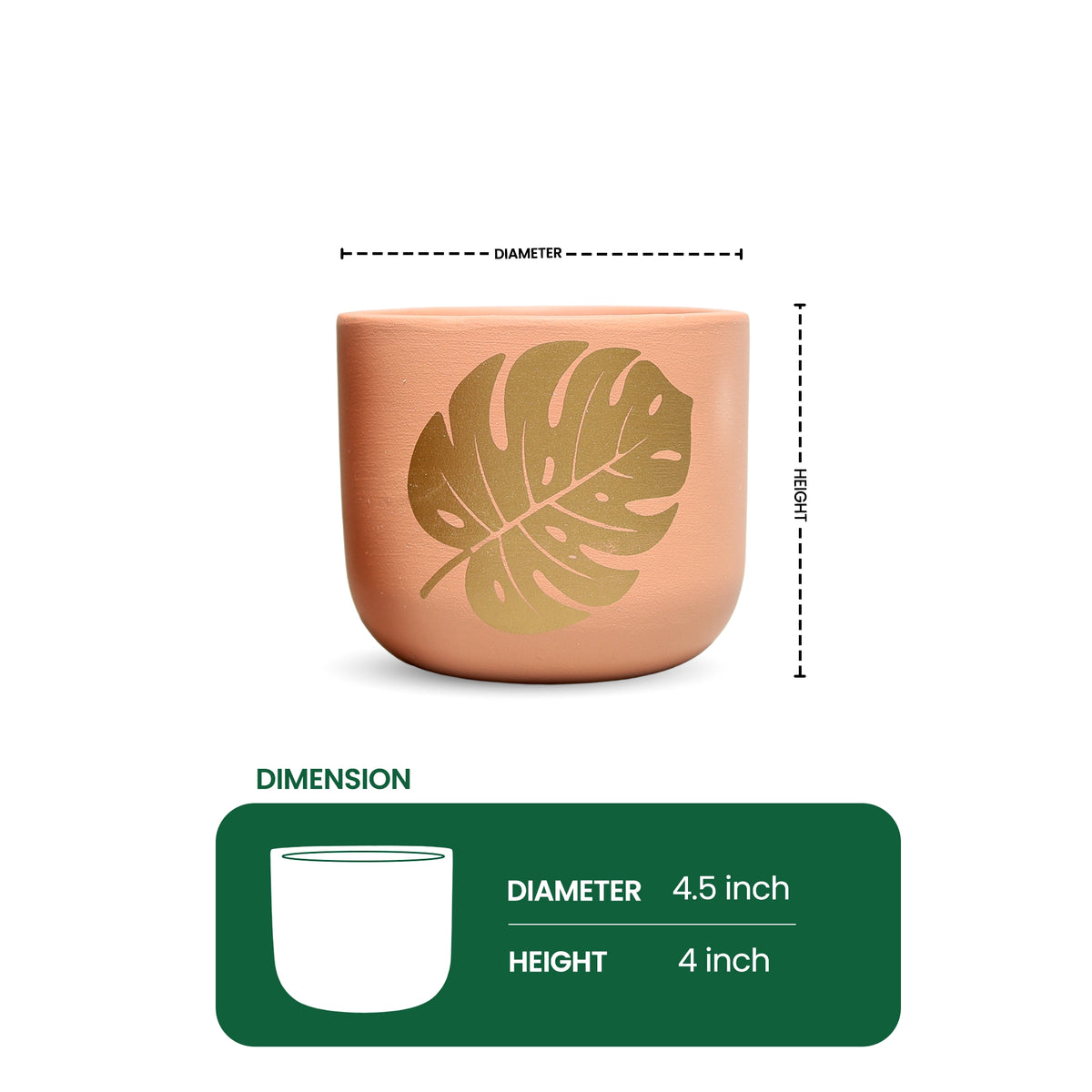 Urban Plant Monstera Muse Terracotta Pot Earth Gold