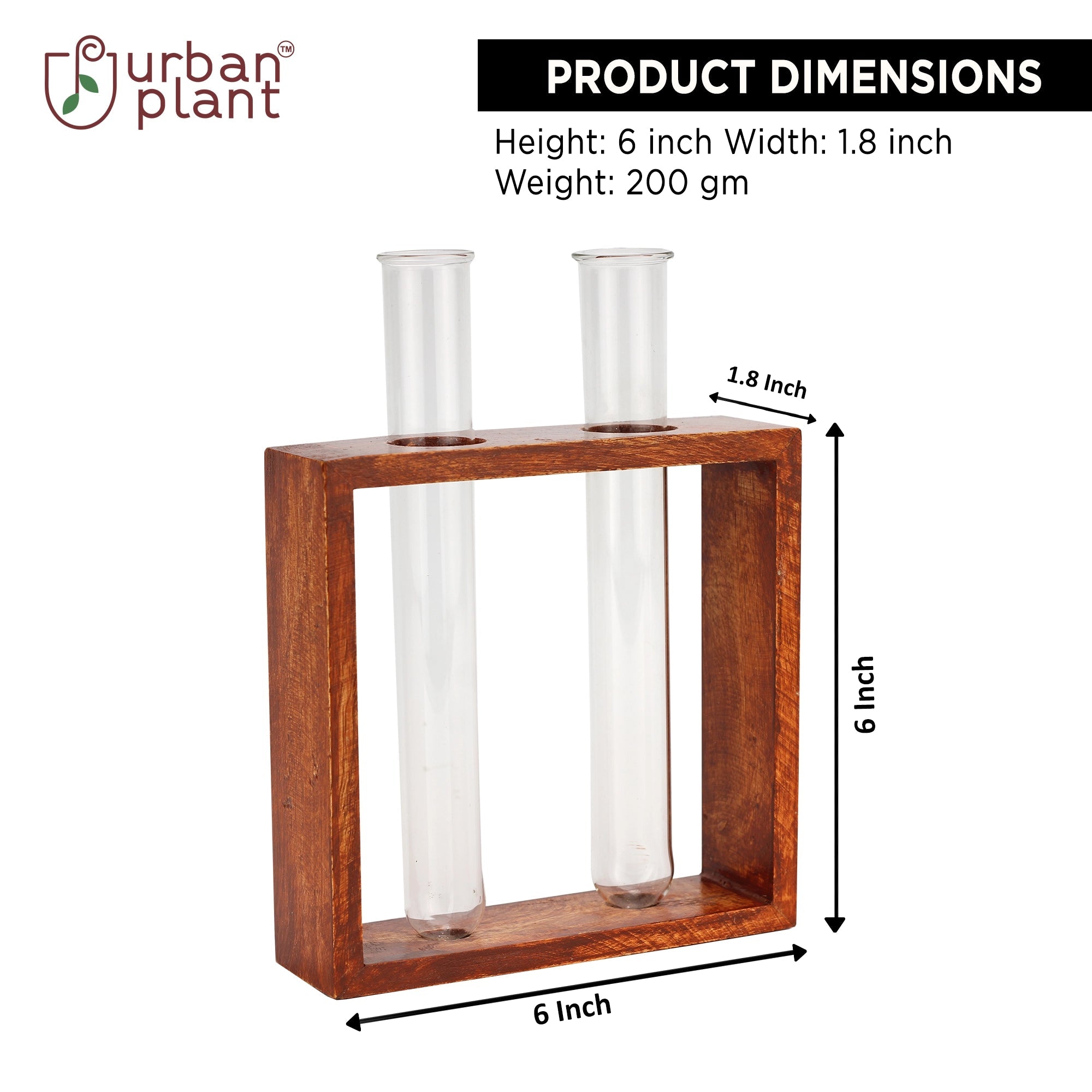 Rustique Test Tube Planter Tube Planter Urban Plant 