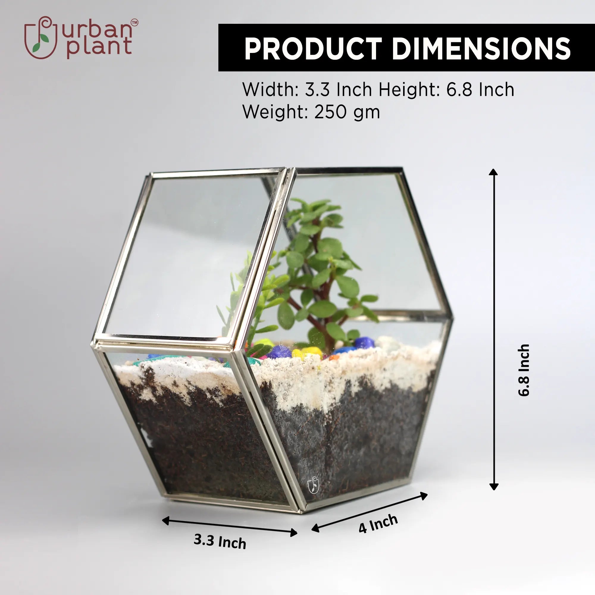 Decorative Hexagon Shape Table Top Glass Terrarium Online Glass Terrarium Urban Plant 