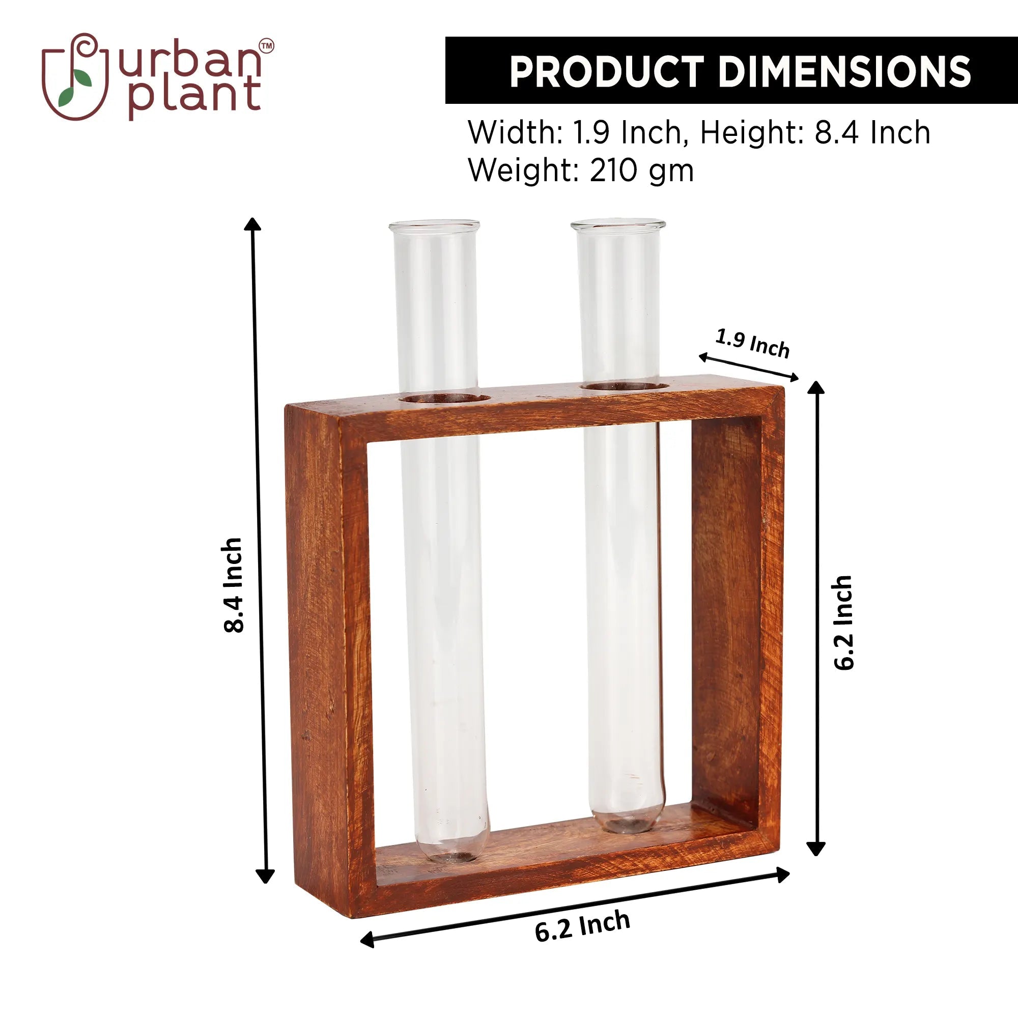 Modern Style Decorative Test Tube Planters with Wooden Frame Online (Set of 2) Indoor/Table Top Planter Urban Plant 